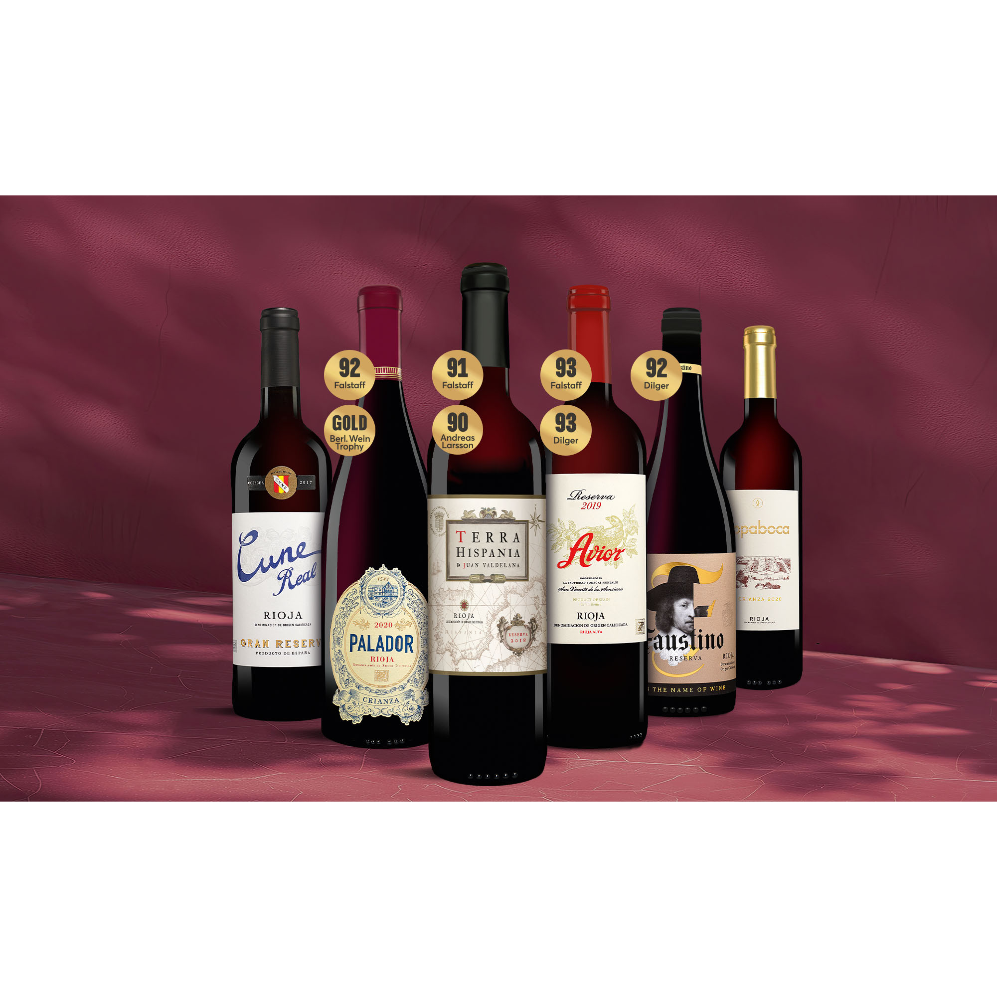 Rioja-Genießer-Paket  4.5L Weinpaket aus Spanien 38885 vinos DE