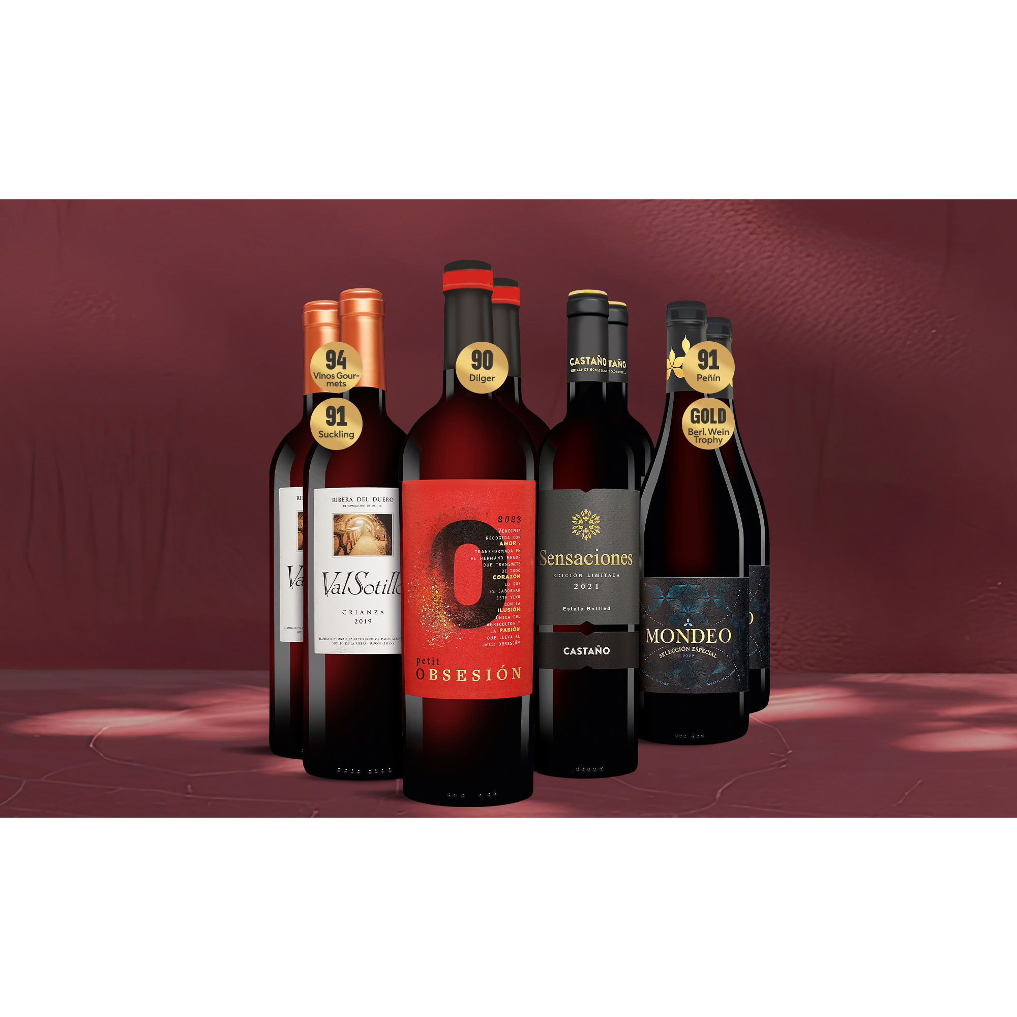 Image of Festwein-Genießer-Paket 6L Weinpaket aus Spanien