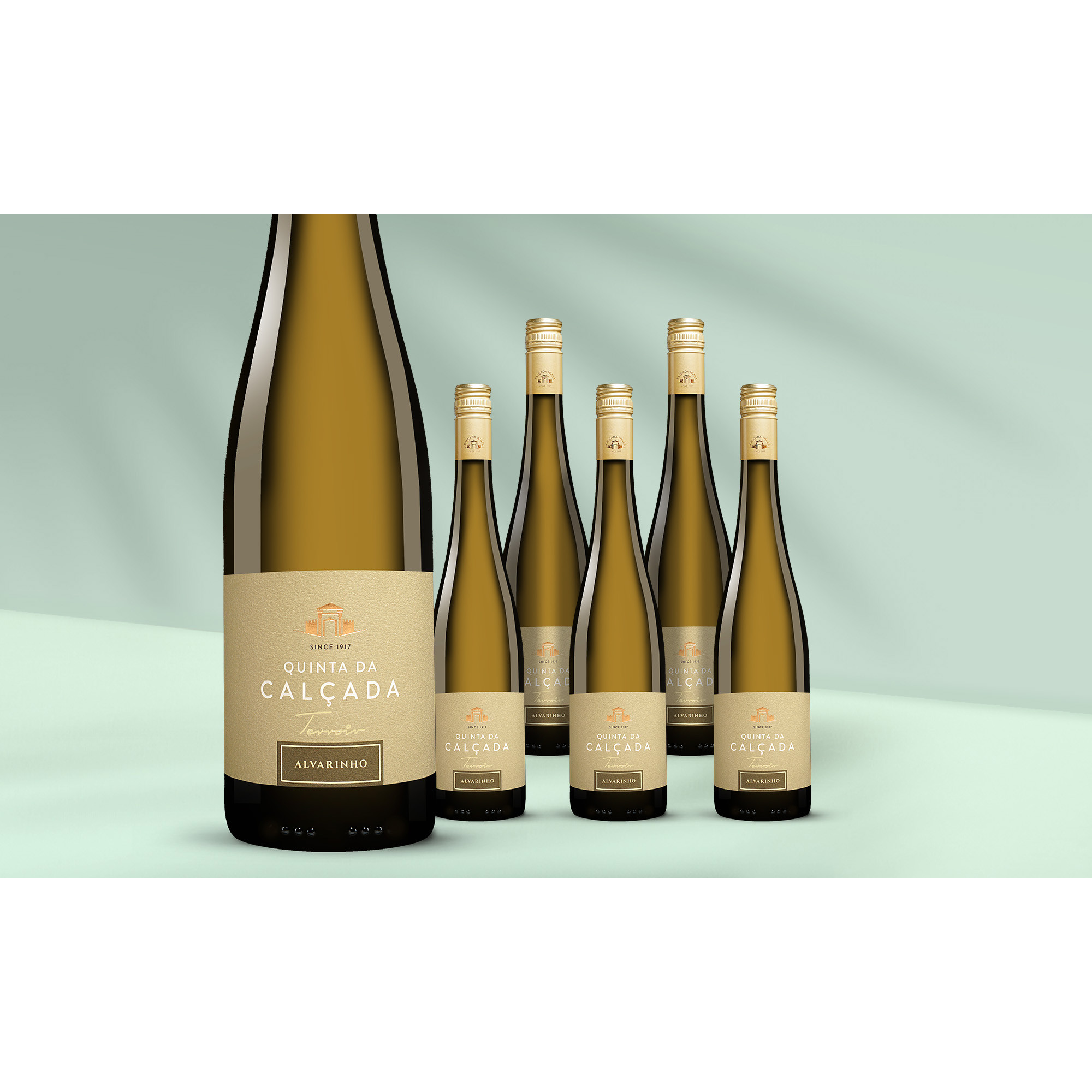 Quinta da Calçada Alvarinho 2023  413% Vol. Weinpaket aus Spanien