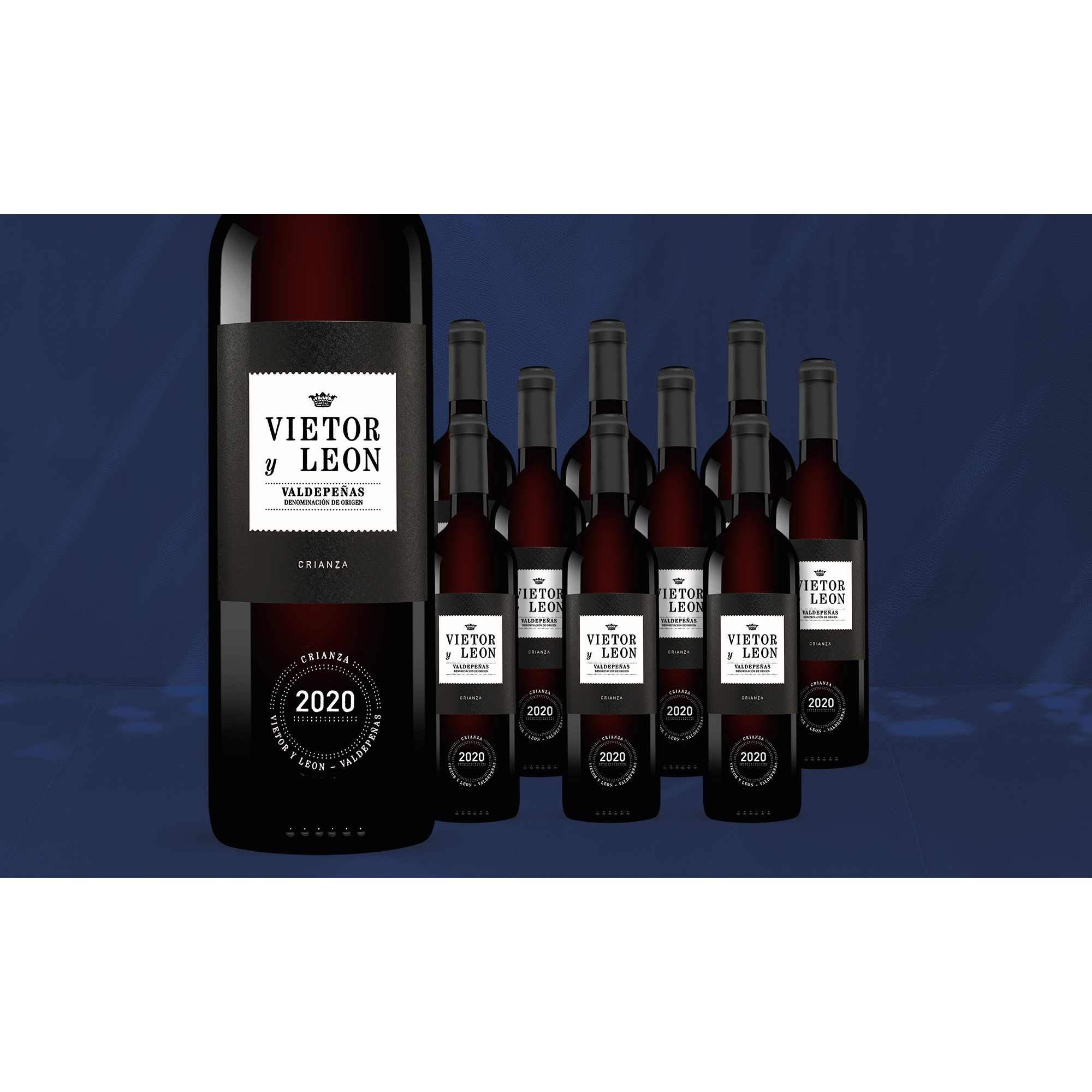 Vietor y Leon Crianza 2020  7.5L 13% Vol. Weinpaket aus Spanien 38955 vinos DE