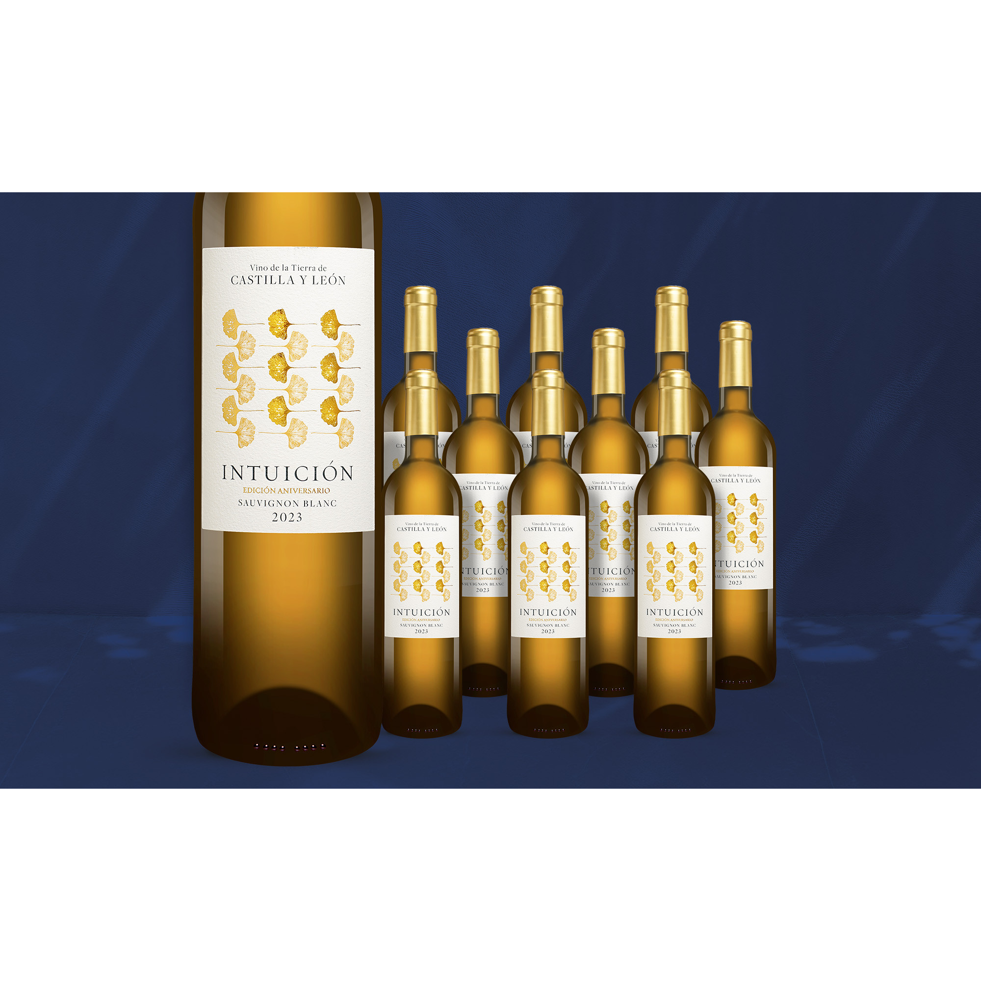 Intuición »Aniversario« Sauvignon Blanc 2023  7.5L 13% Vol. Weinpaket aus Spanien 38961 vinos DE