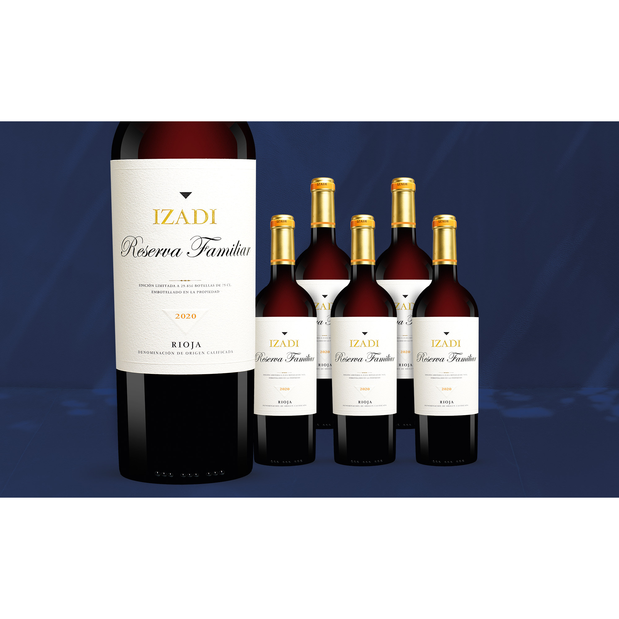 Izadi Tinto »Reserva Familiar« Reserva 2020  4.5L 14.5% Vol. Weinpaket aus Spanien 38966 vinos DE