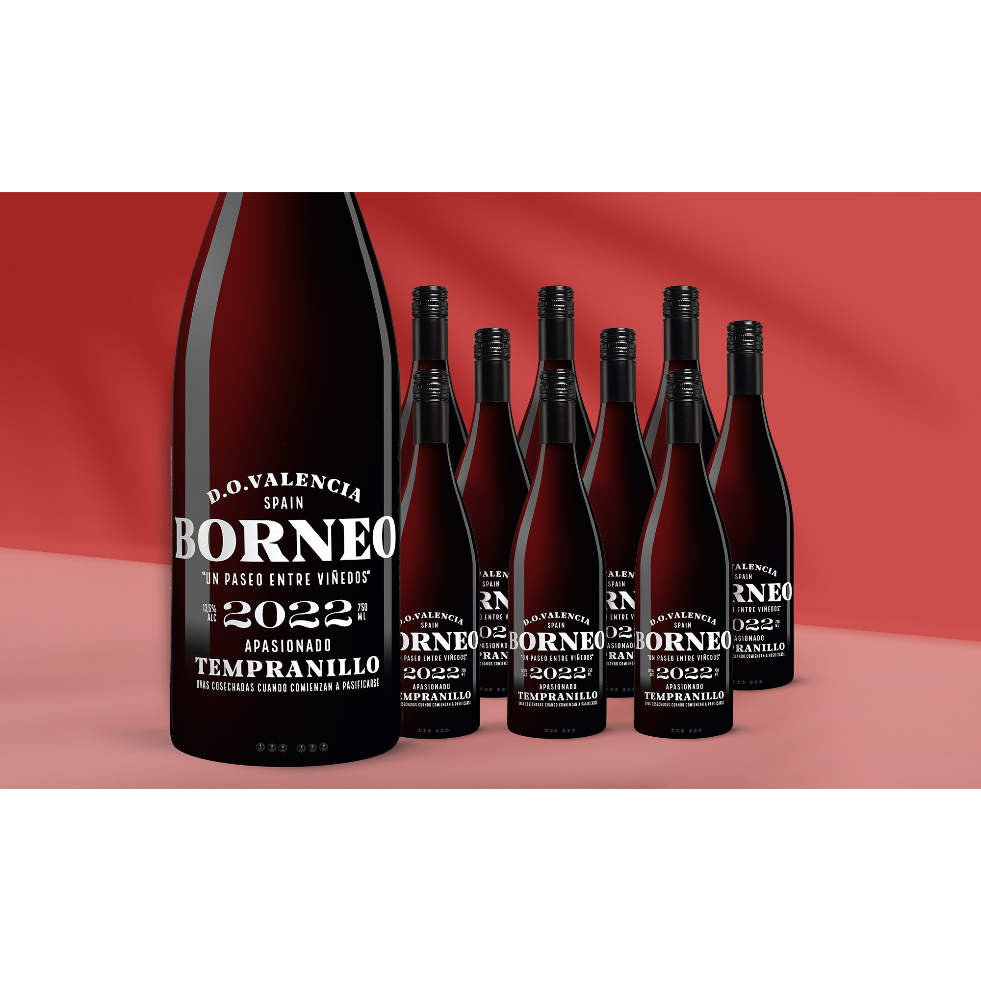 Borneo Apasionado 2022  7.5L 13.5% Vol. Weinpaket aus Spanien 38990 vinos DE