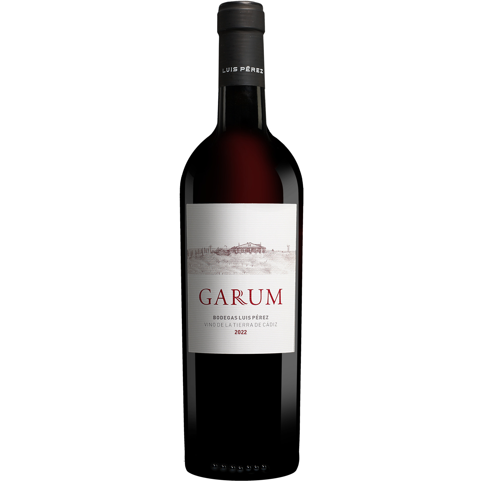 Image of Luis Pérez »Garum« 2022 0.75L 13.5% Vol. Rotwein Trocken aus Spanien