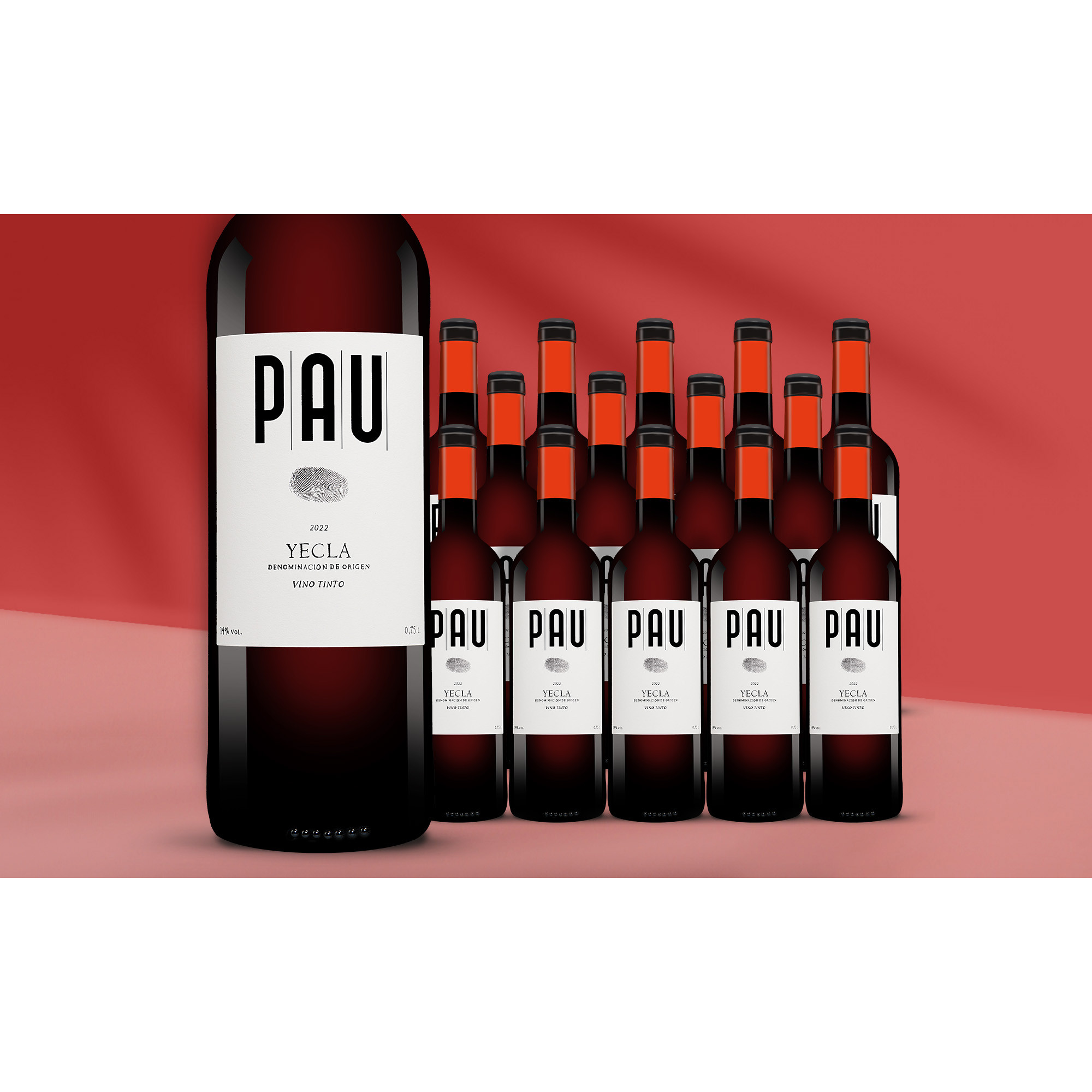 Pau Tinto 2022  11.25L 14% Vol. Weinpaket aus Spanien 39089 vinos DE