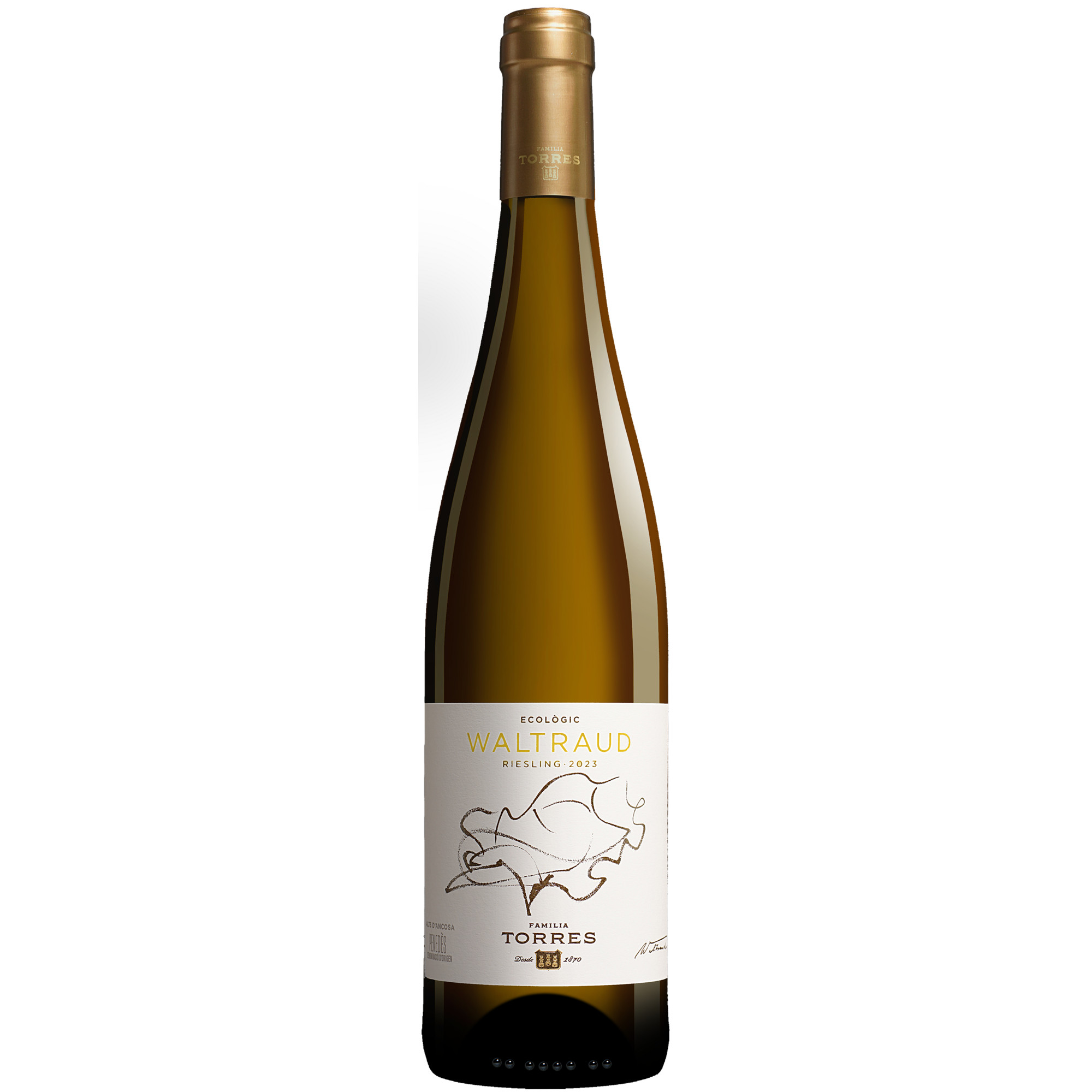 Image of Torres Riesling Waltraud Do 2019 - Weisswein - Miguel Torres, Spanien, trocken, 0,75l