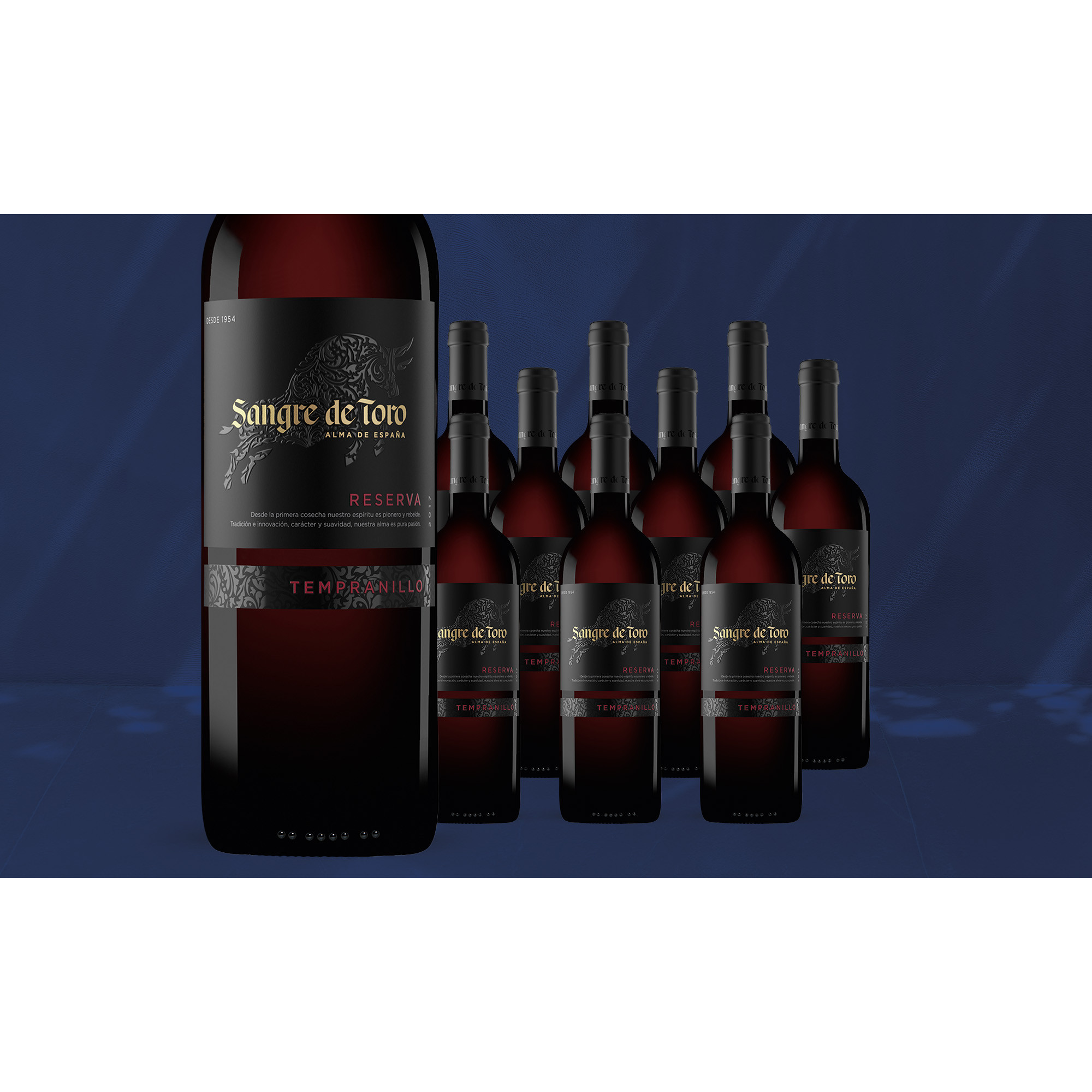 Torres Sangre de Toro Reserva 2017  7.5L 13.5% Vol. Weinpaket aus Spanien 39145 vinos DE