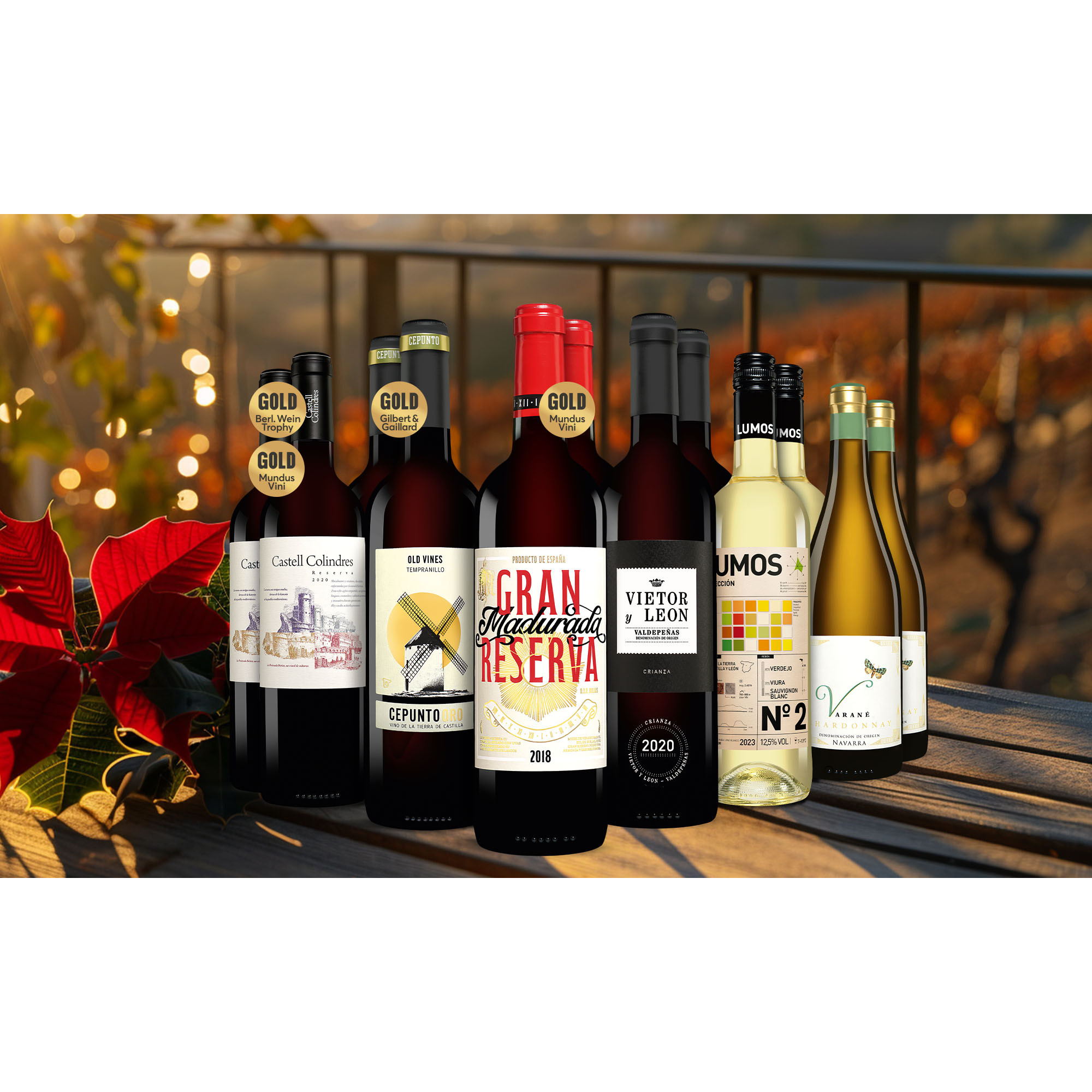 Winterfreude Paket  9L Weinpaket aus Spanien 39147 vinos DE