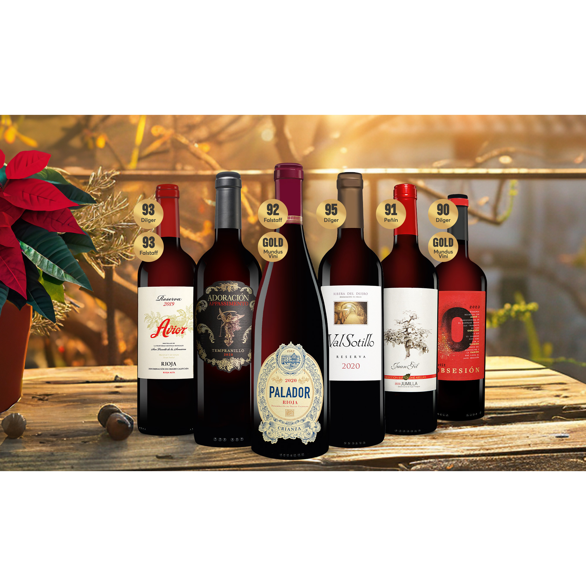 Winter-Festtags-Paket  4.5L Weinpaket aus Spanien 39148 vinos DE