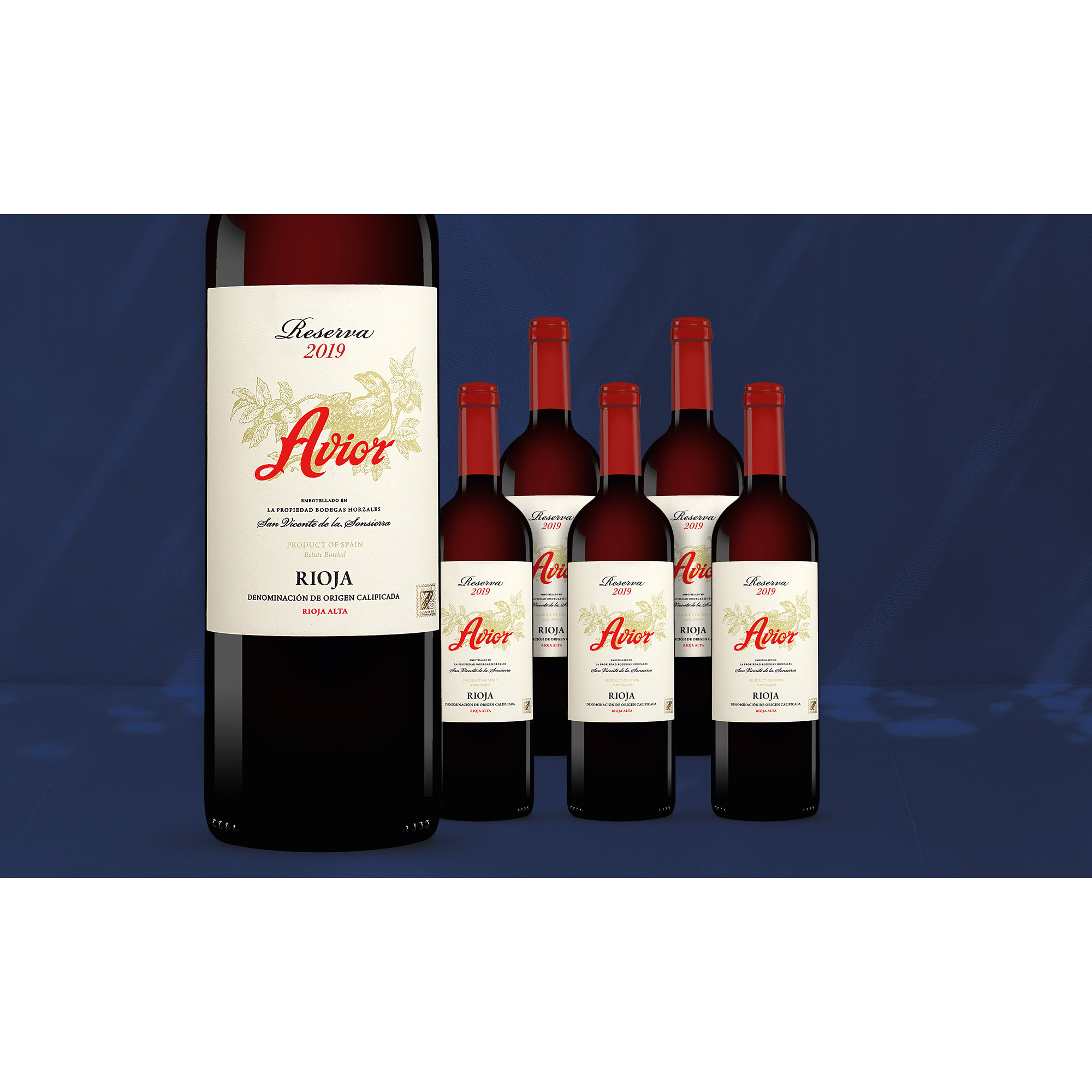 Avior Reserva 2019  4.5L 14% Vol. Weinpaket aus Spanien 39151 vinos DE