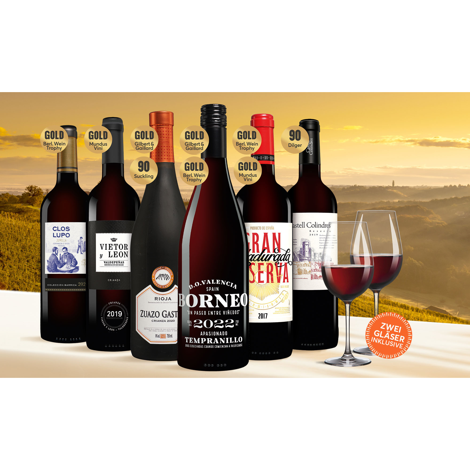 Vinos Tinto Gold Paket  4.5L Weinpaket aus Spanien 39223 vinos DE