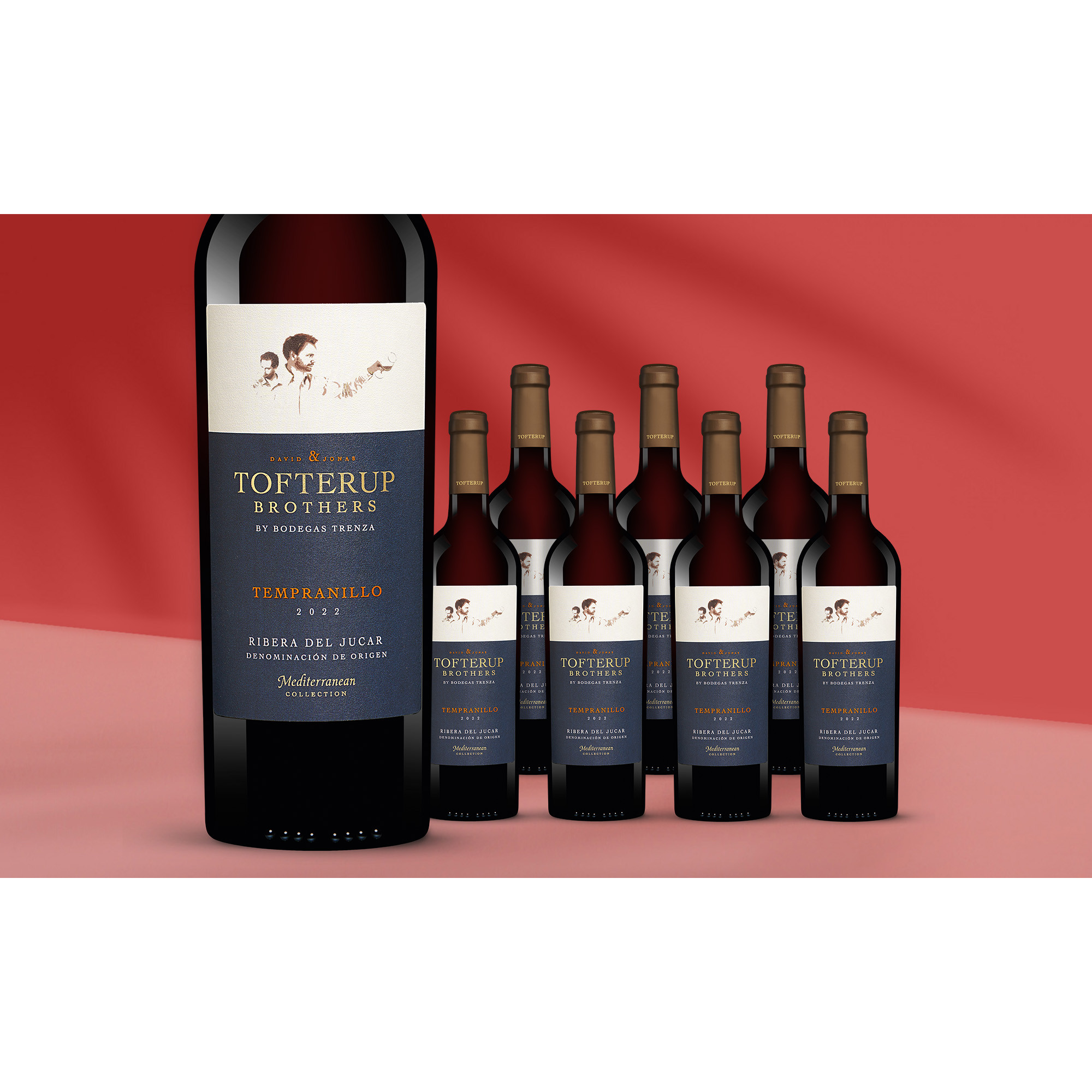 Tofterup Brothers Tempranillo 2022  6L 14% Vol. Weinpaket aus Spanien 39235 vinos DE