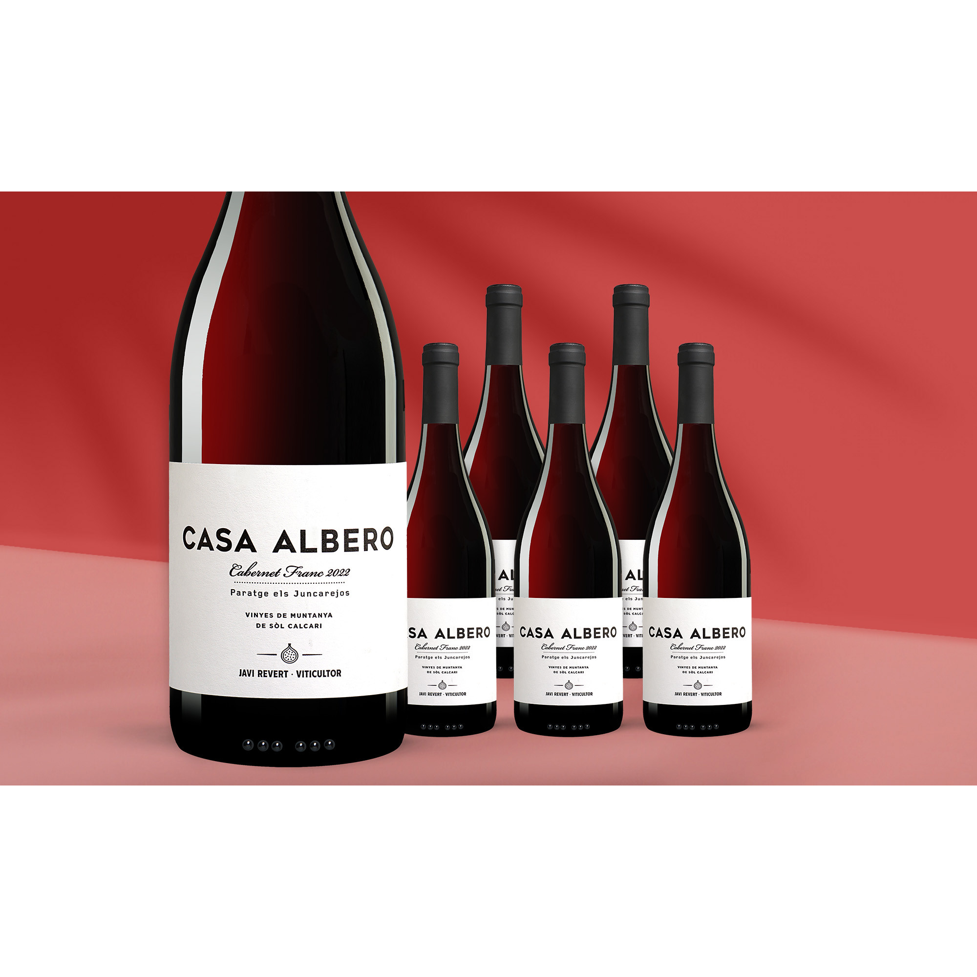 Javier Revert Casa Albero Cabernet Franc 2022  4.5L 14% Vol. Weinpaket aus Spanien 39250 vinos DE