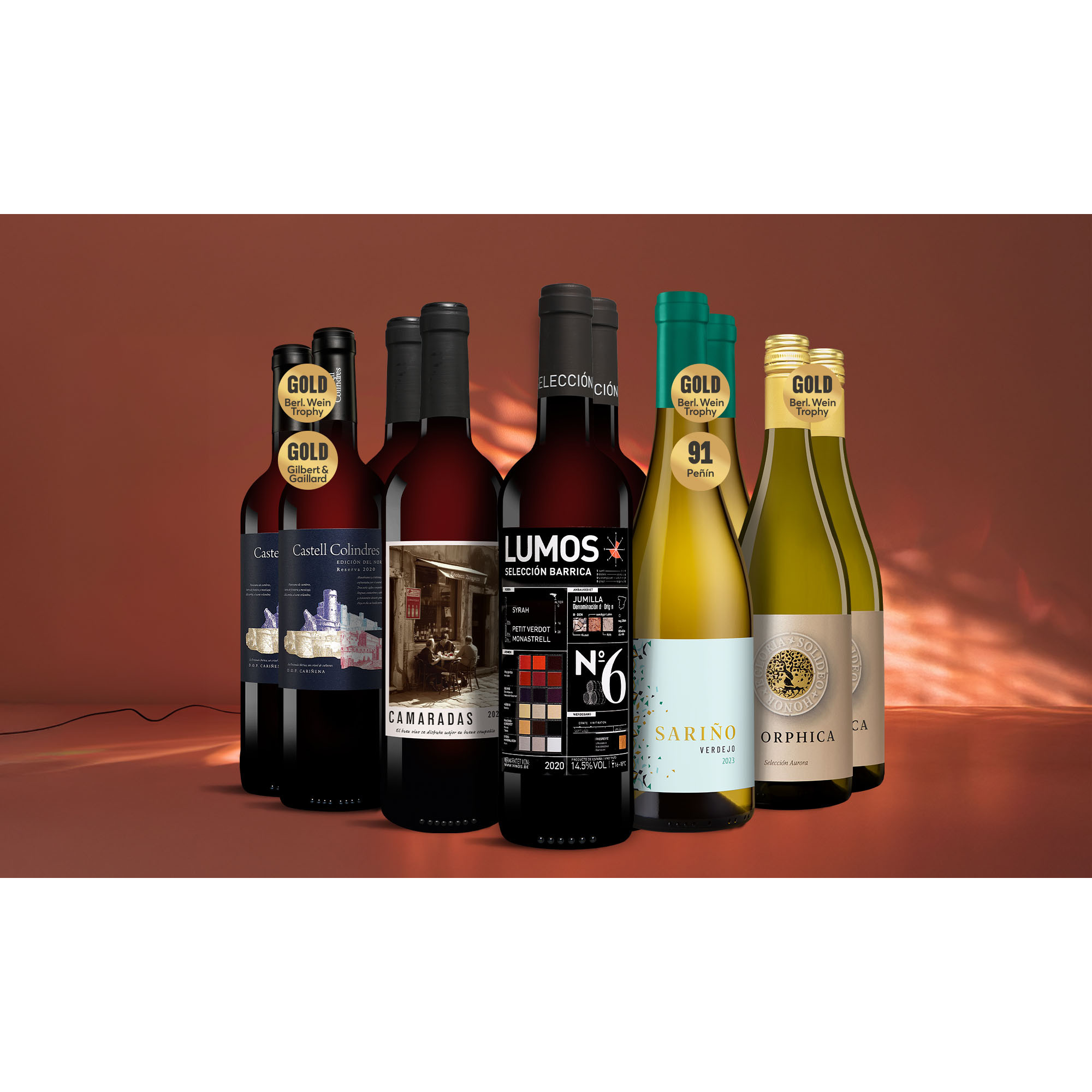 Cyber Wine Week-Paket  7.5L Weinpaket aus Spanien 39458 vinos DE