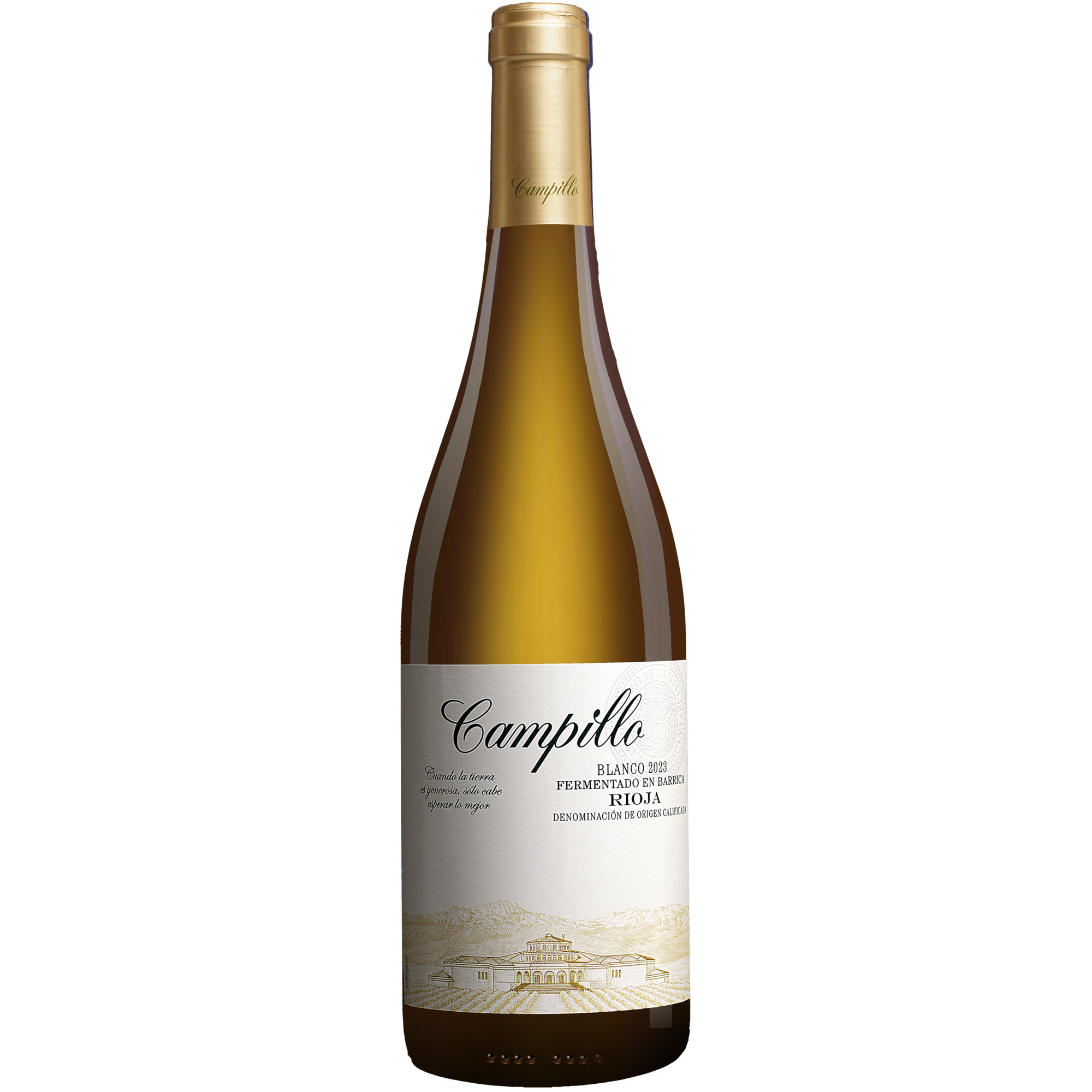 Campillo Blanco Barrica 2023  0.75L 13% Vol. Weißwein Trocken aus Spanien