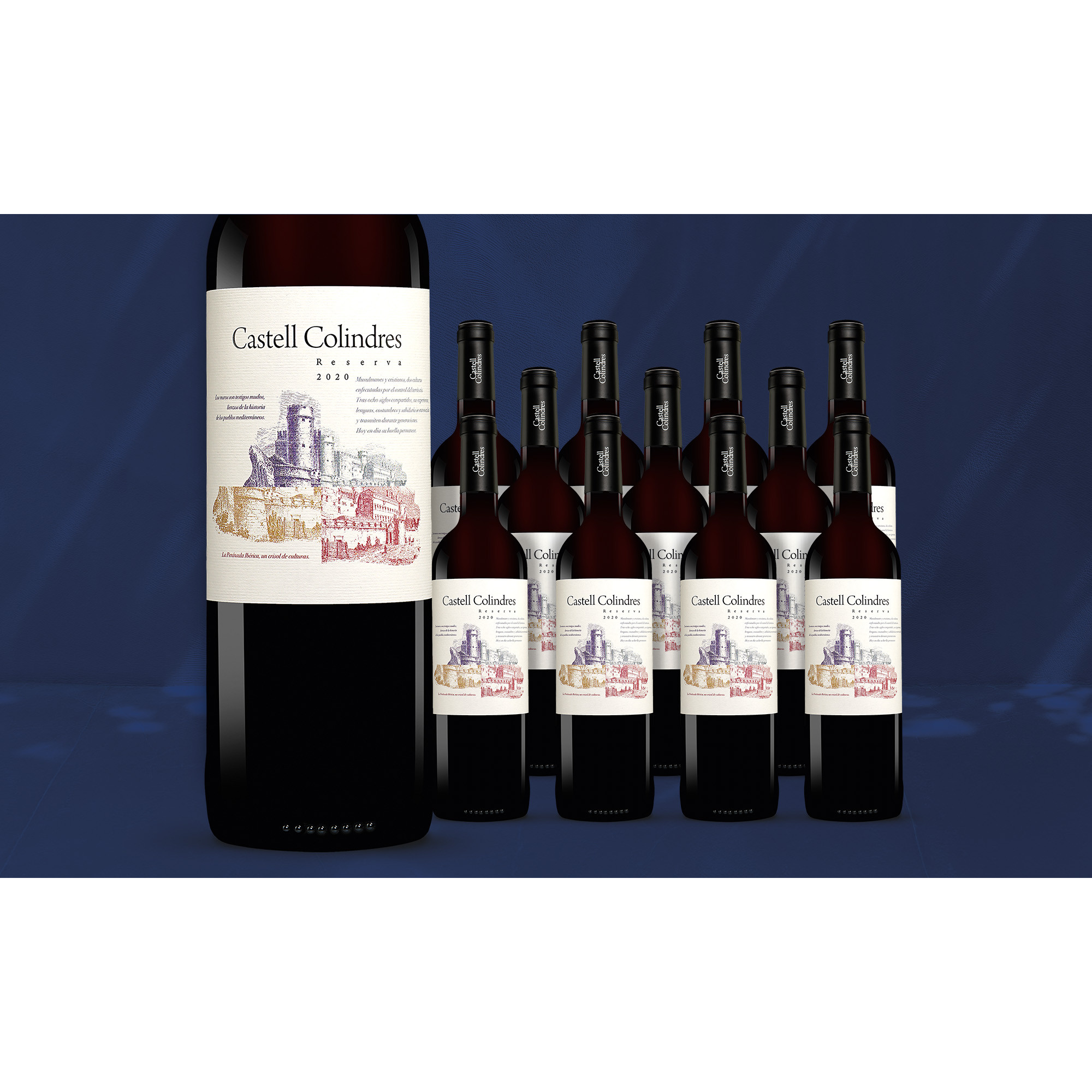 Castell Colindres Reserva 2020  9L 13.5% Vol. Weinpaket aus Spanien 39545 vinos DE