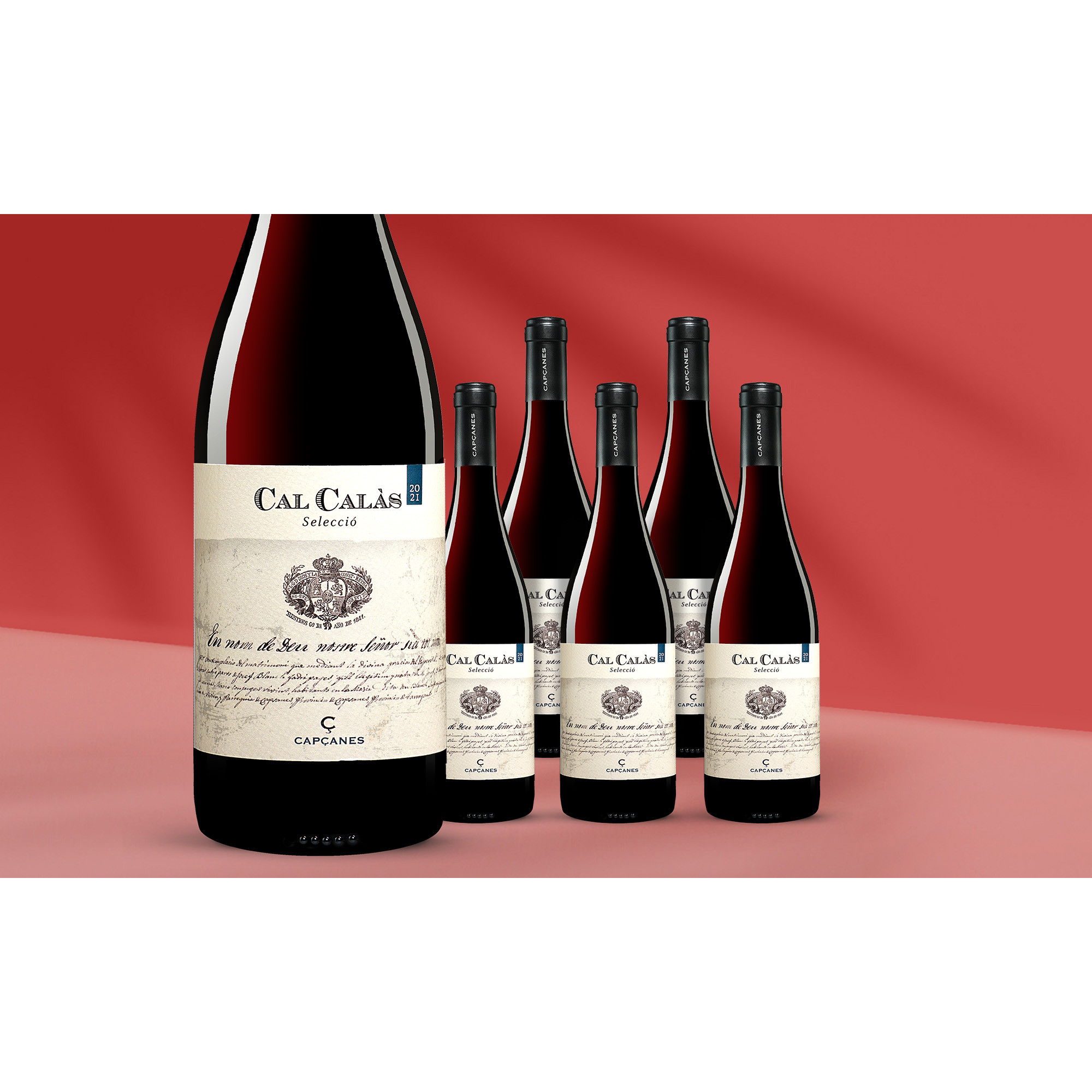 Capçanes »Cal Calàs« 2021  4.5L 14.5% Vol. Weinpaket aus Spanien 39547 vinos DE