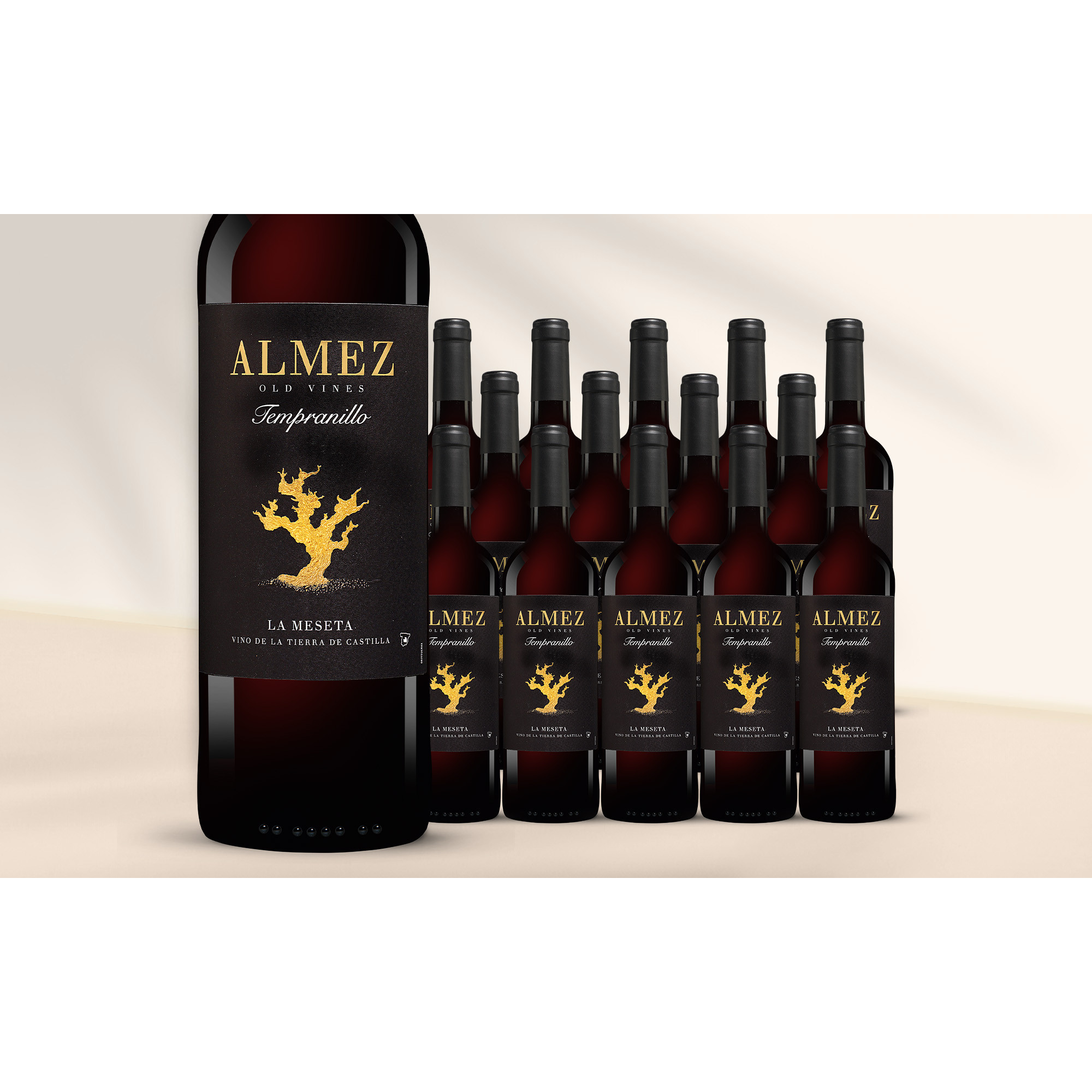 Almez Tempranillo 2023  11.25L 13.5% Vol. Weinpaket aus Spanien 39711 vinos DE