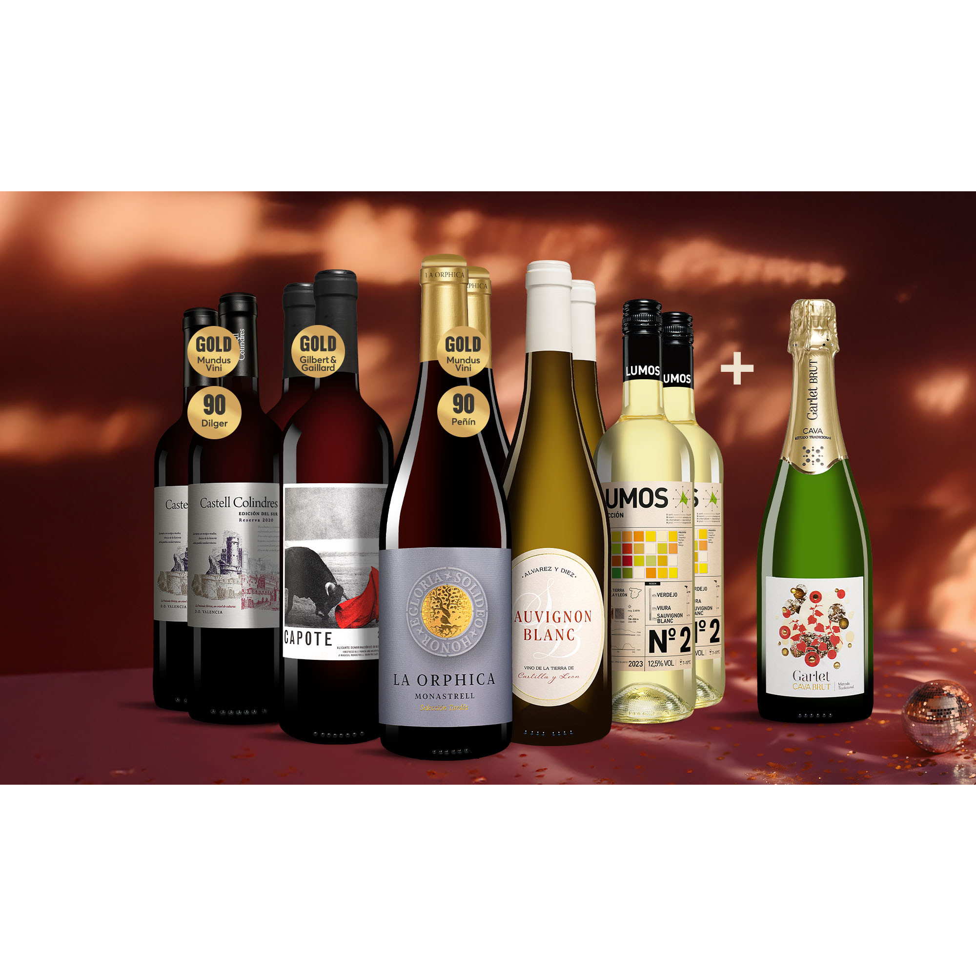 Silvester-Genießer-Paket  8.25L Weinpaket aus Spanien 39735 vinos DE