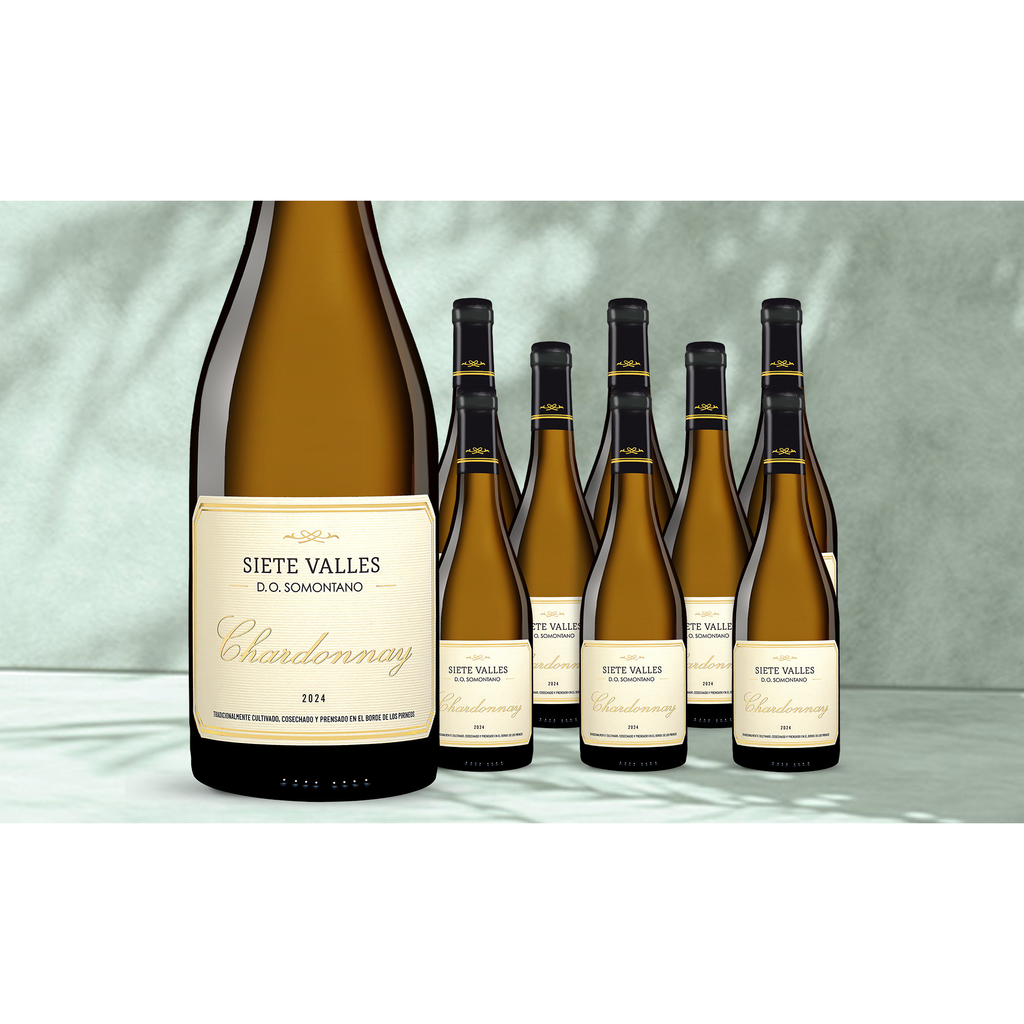 Image of Siete Valles Chardonnay 2024 6.75L 13% Vol. Weinpaket aus Spanien