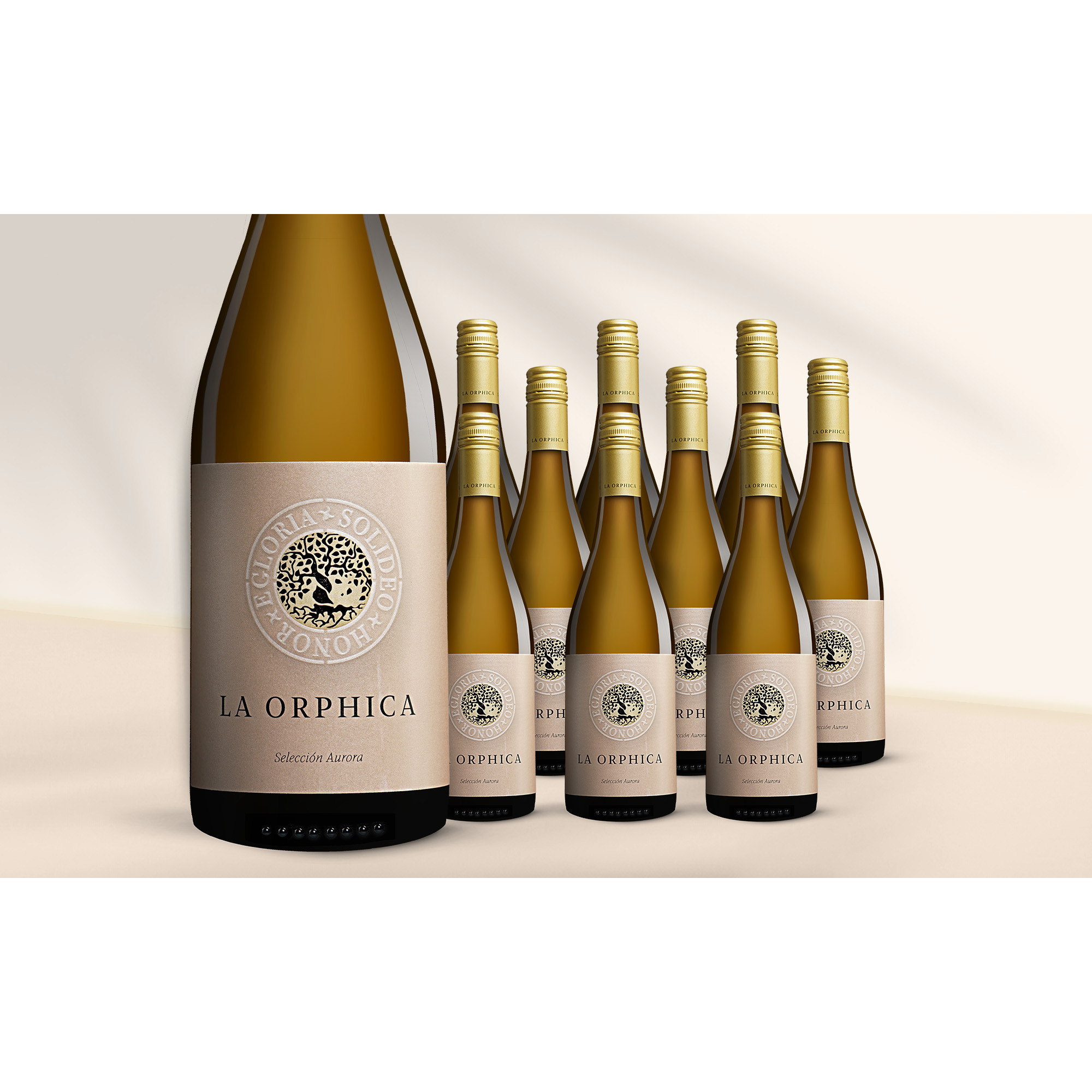 Image of La Orphica Selección Aurora Blanco 2024 7.5L 12.5% Vol. Weinpaket aus Spanien