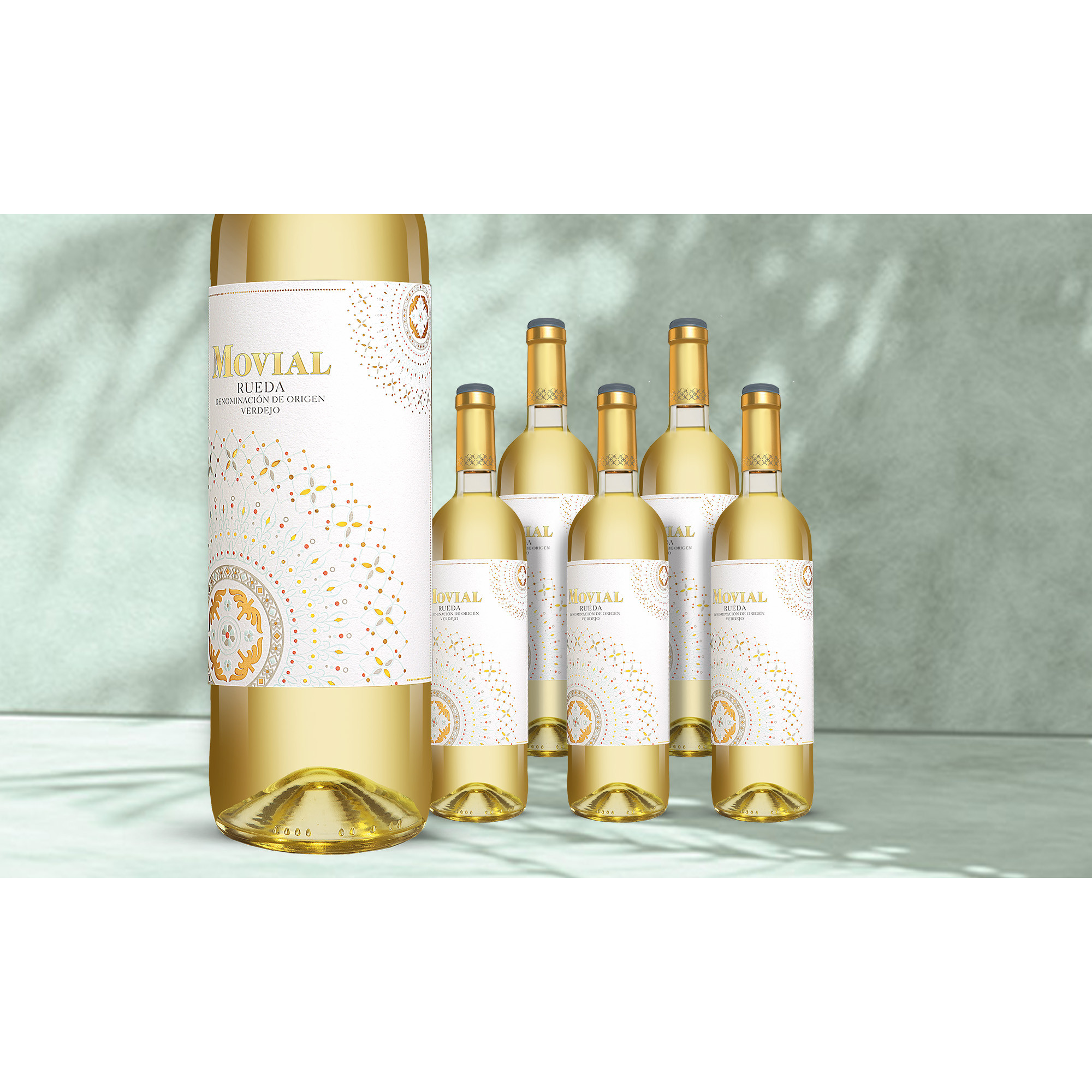 Image of Movial Verdejo 2024 4.5L 12.5% Vol. Weinpaket aus Spanien