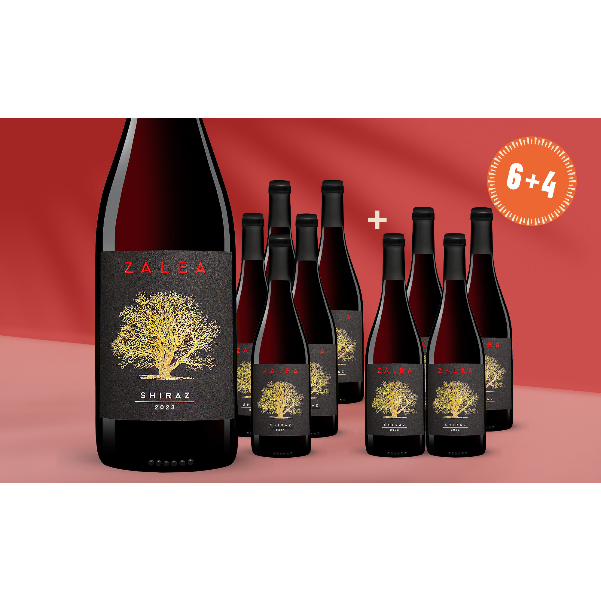 Zalea Shiraz 2023  7.5L 14.5% Vol. Weinpaket aus Spanien 39928 vinos DE