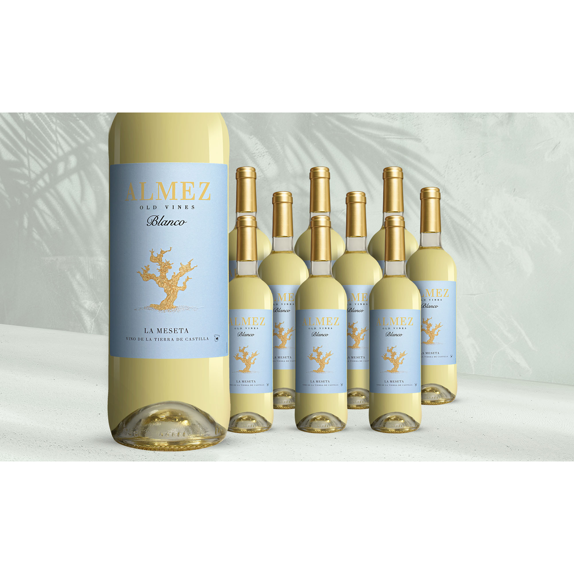 Image of Almez Blanco 2024 7.5L 12% Vol. Weinpaket aus Spanien