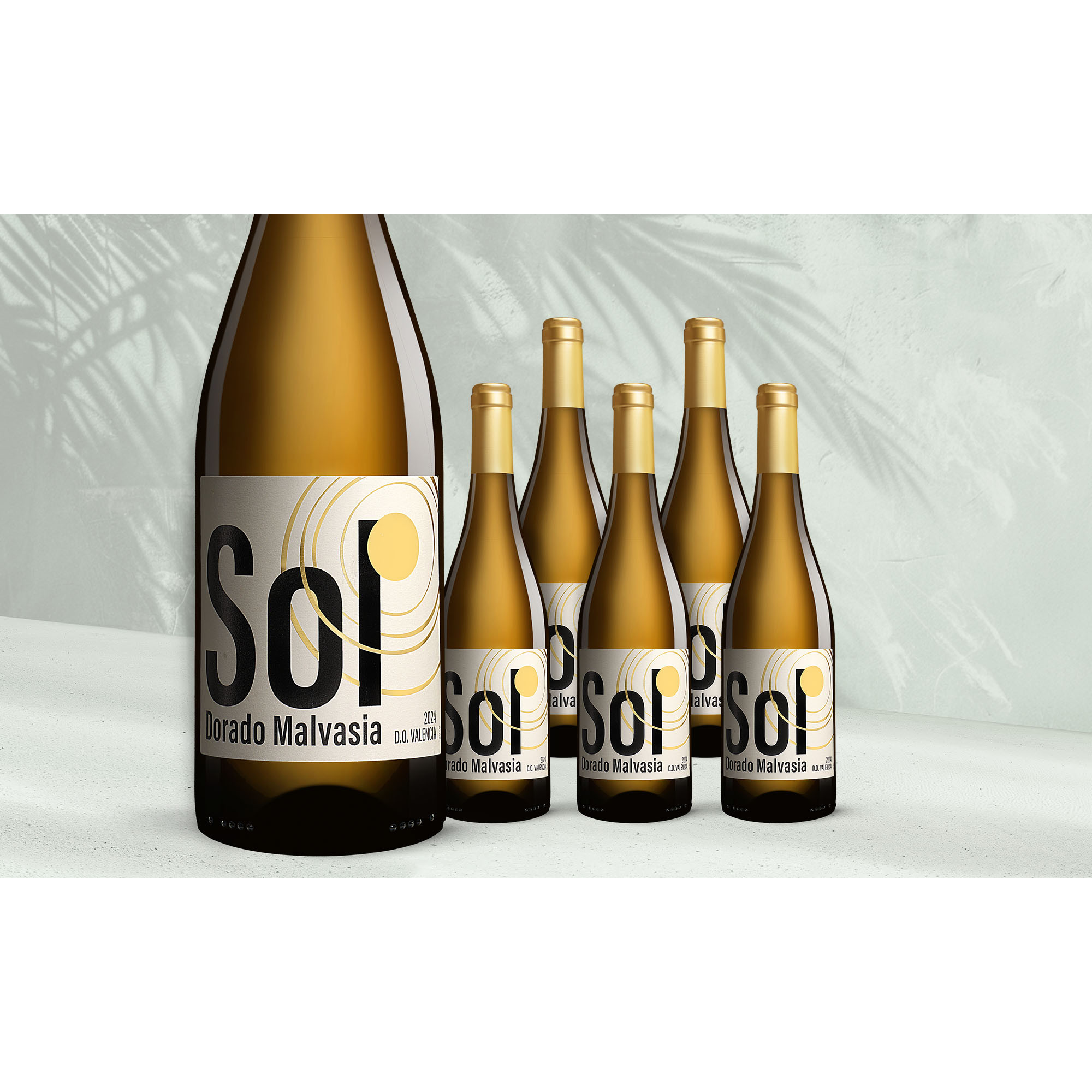 Image of Sol Dorado Malvasía 2024 4.5L 13% Vol. Weinpaket aus Spanien