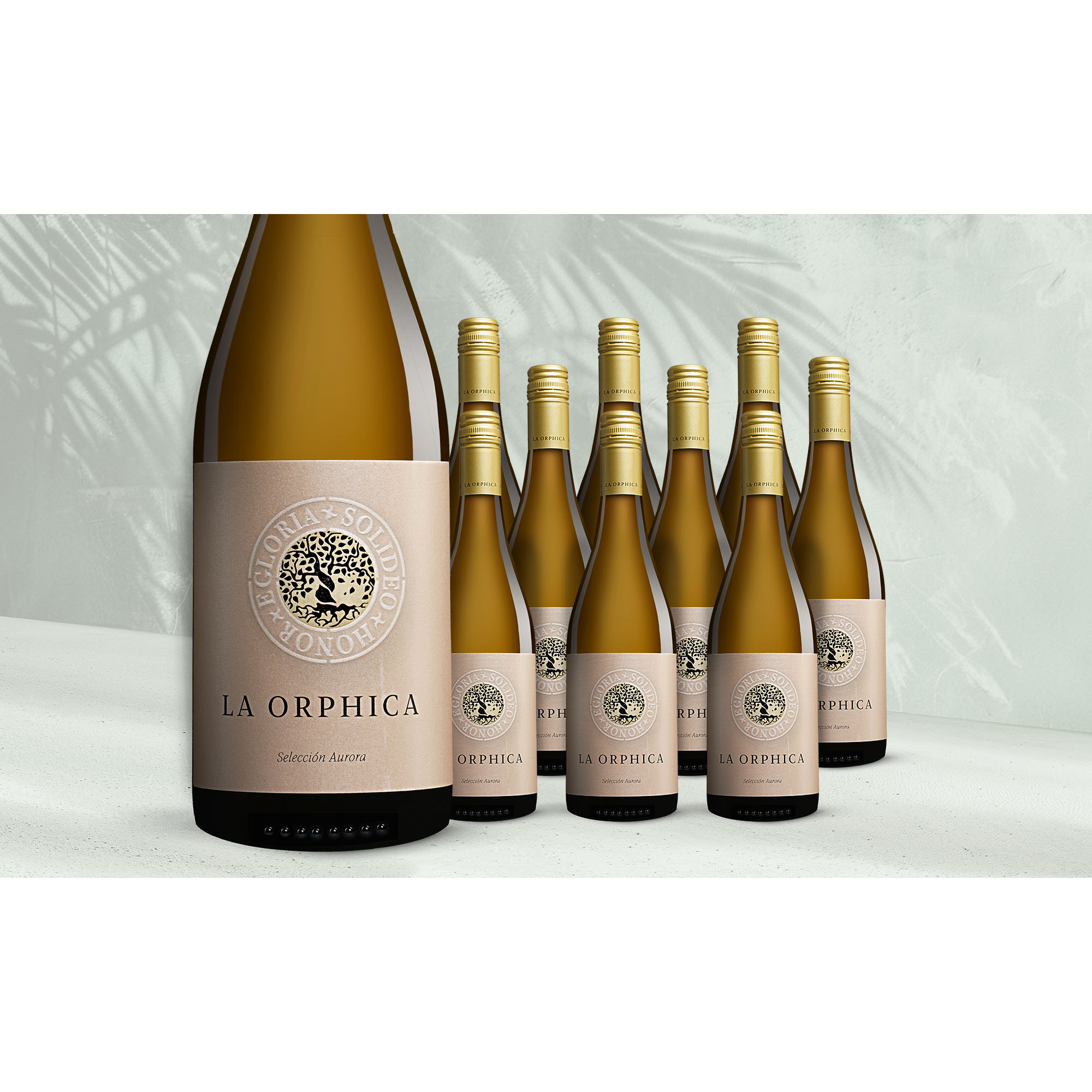 Image of La Orphica Selección Aurora Blanco 2024 7.5L 12.5% Vol. Weinpaket aus Spanien
