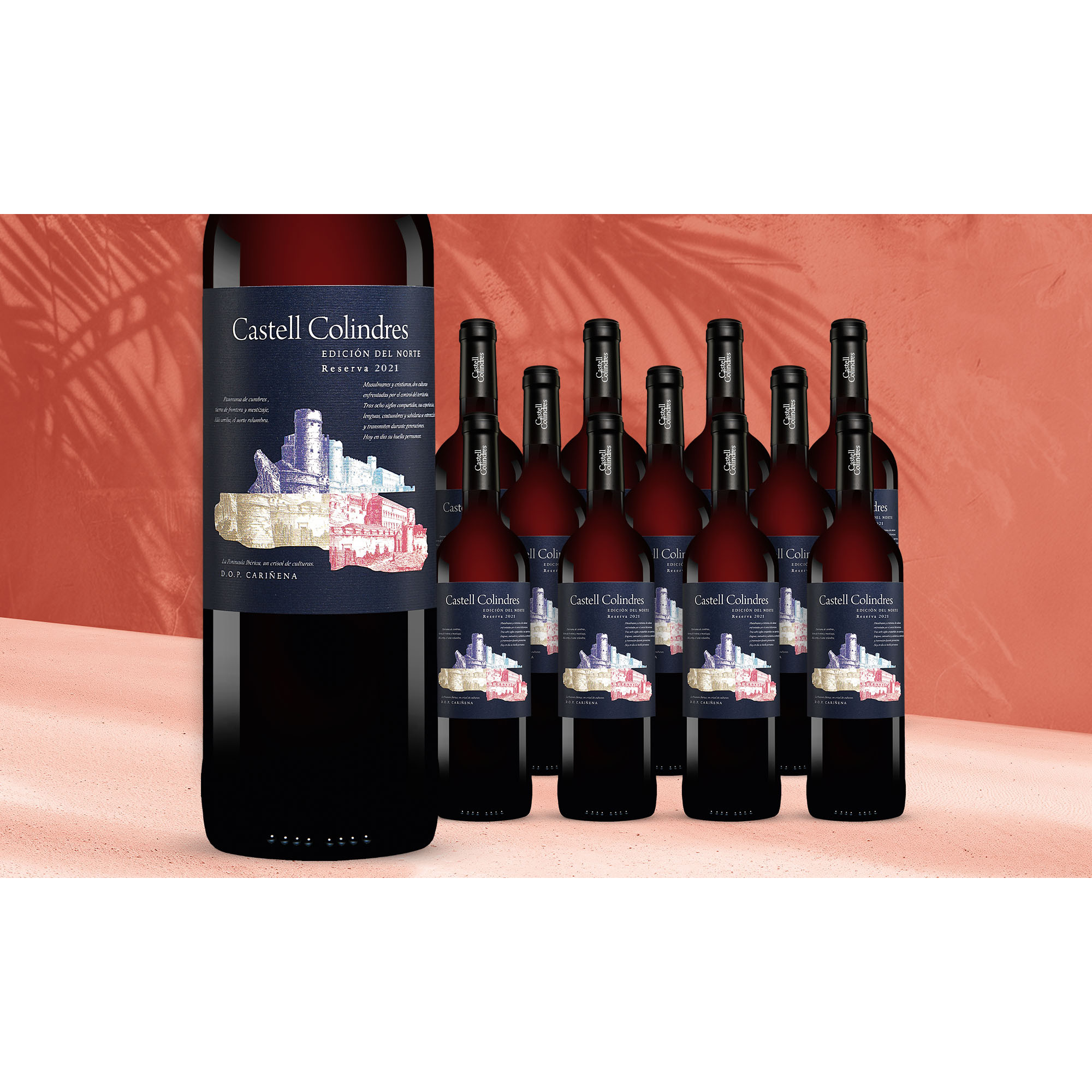 Image of Castell Colindres Reserva Edición del Norte 2021 9L 14% Vol. Weinpaket aus Spanien