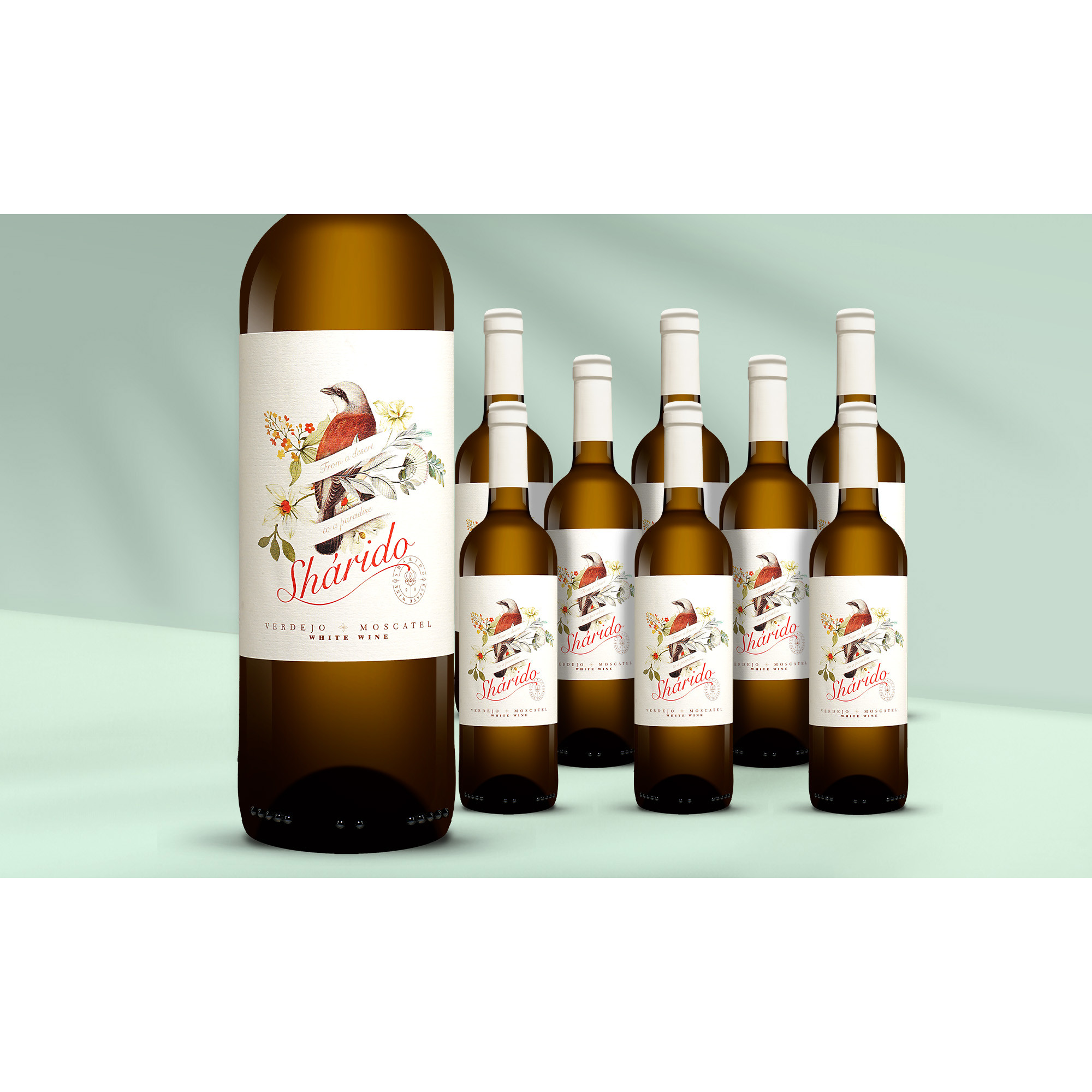Image of Shárido Verdejo Moscatel 2024 6.75L 13% Vol. Weinpaket aus Spanien