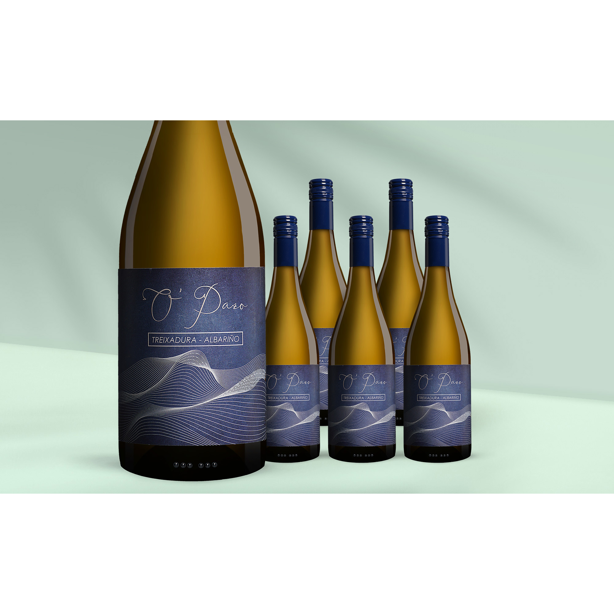 O%27Pazo Treixadura Albariño 2024  4.5L 12.5% Vol. Weinpaket aus Spanien 40526 vinos DE