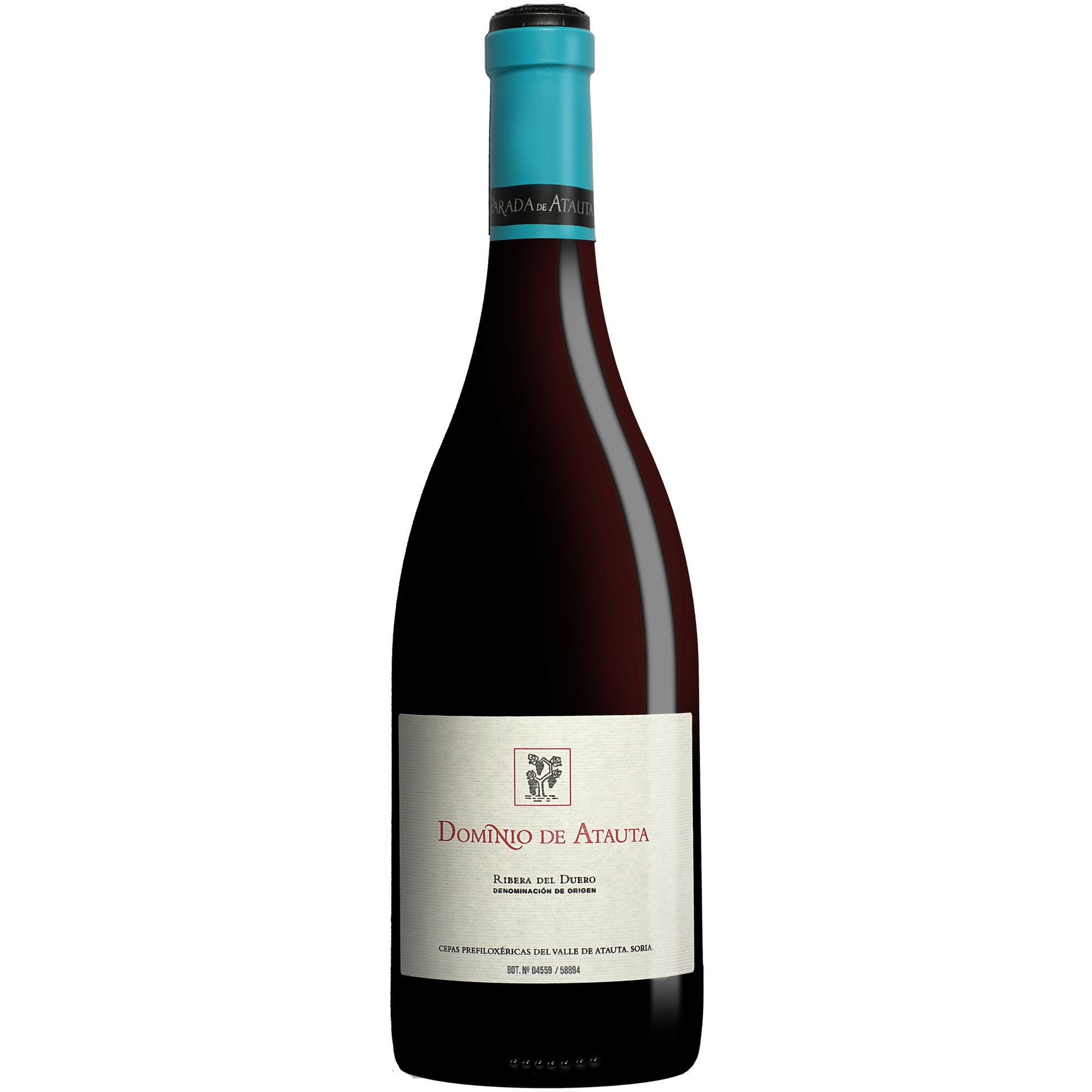Dominio de Atauta 2021  014.5% Vol. Rotwein Trocken aus Spanien
