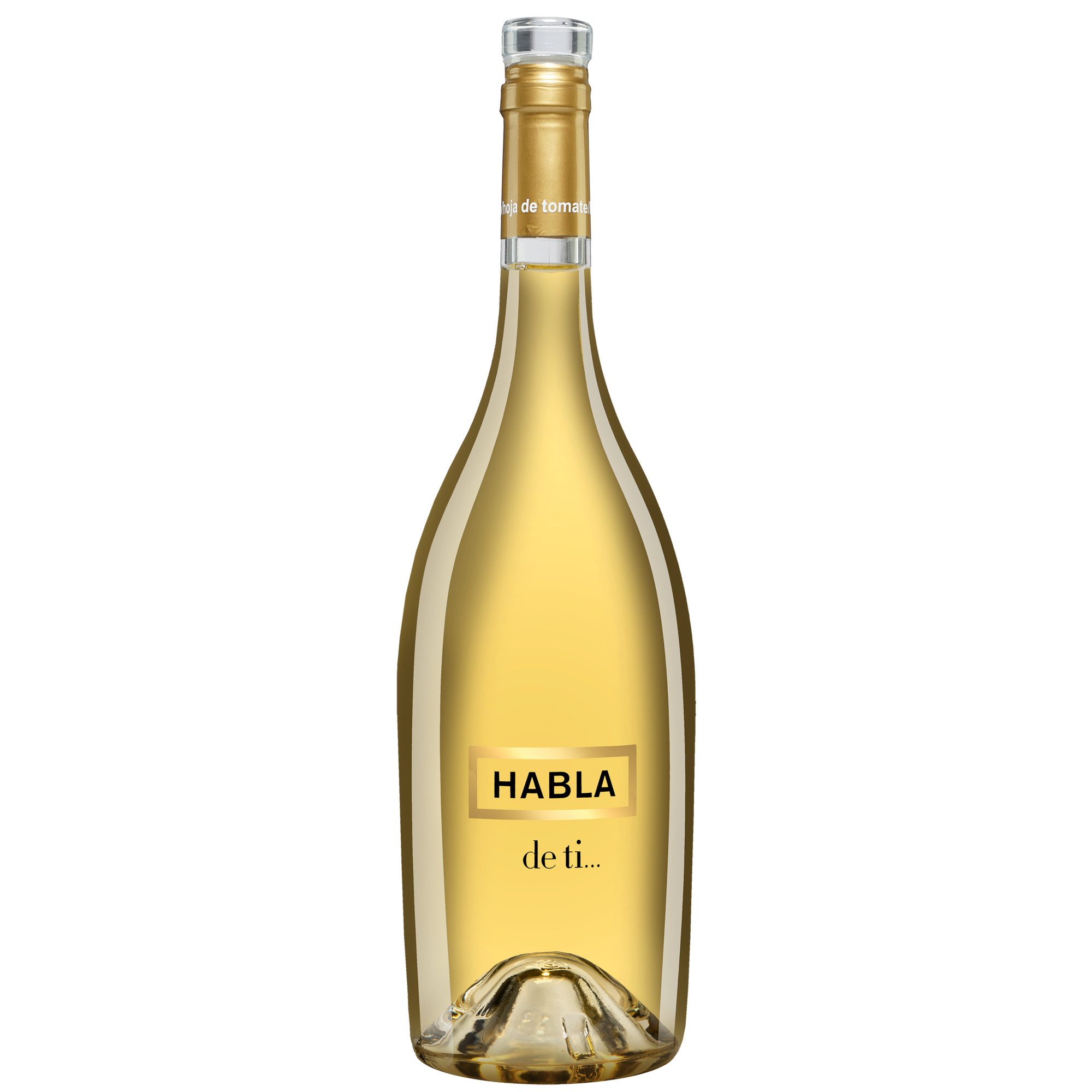 Habla de Ti Sauvignon Blanc 2024  012.5% Vol. Weißwein Trocken aus Spanien