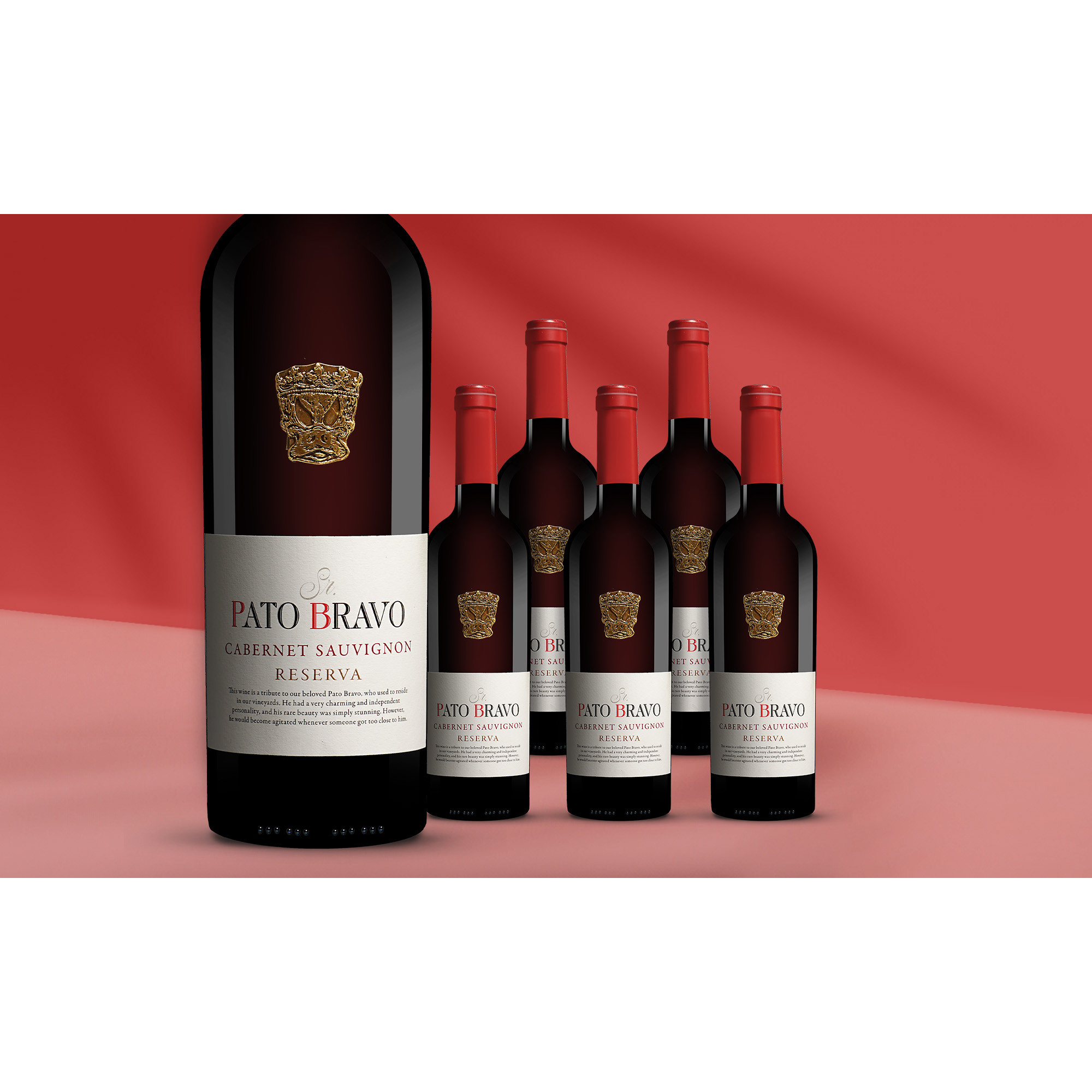 Image of Pato Bravo Cabernet Sauvignon Reserva 2023 4.5L 13.5% Vol. Weinpaket aus Spanien