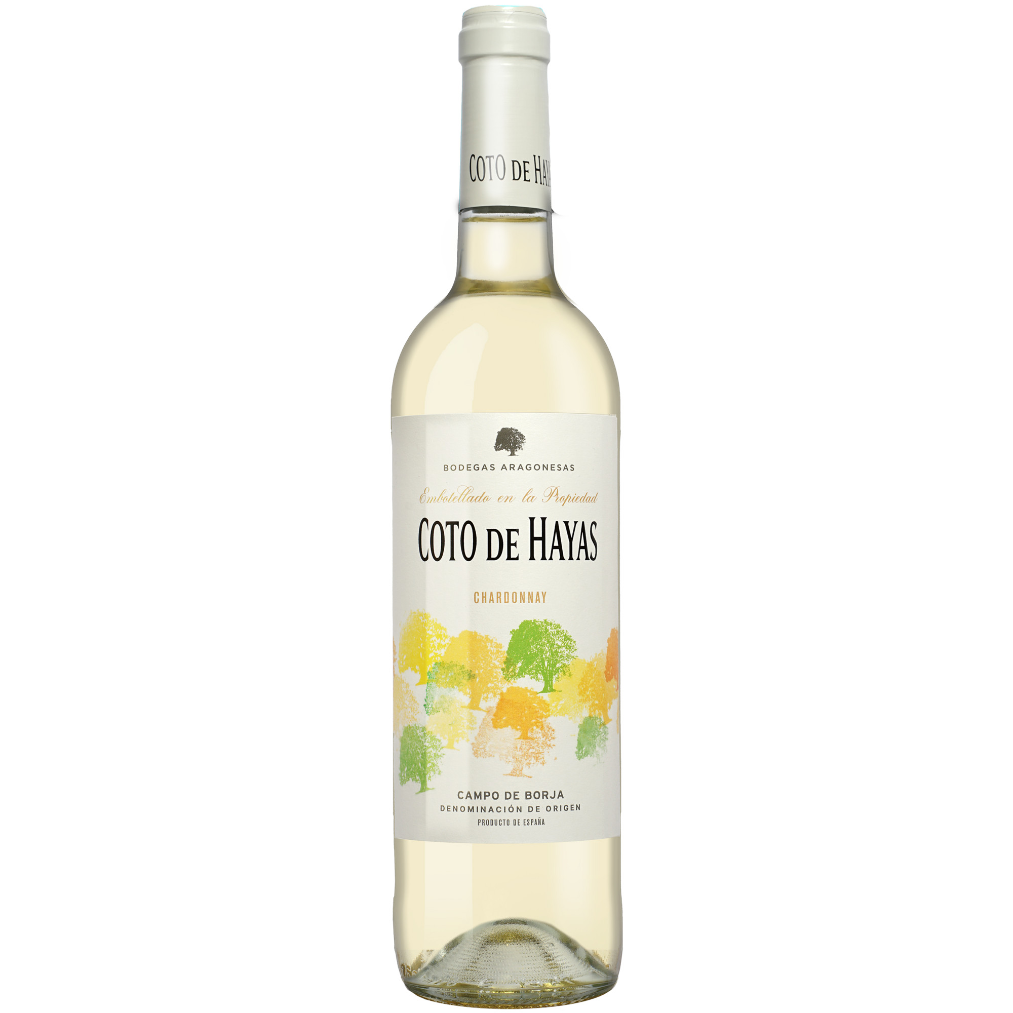 Image of Coto de Hayas Blanco 2024 0.75L 13% Vol. Weißwein Trocken aus Spanien