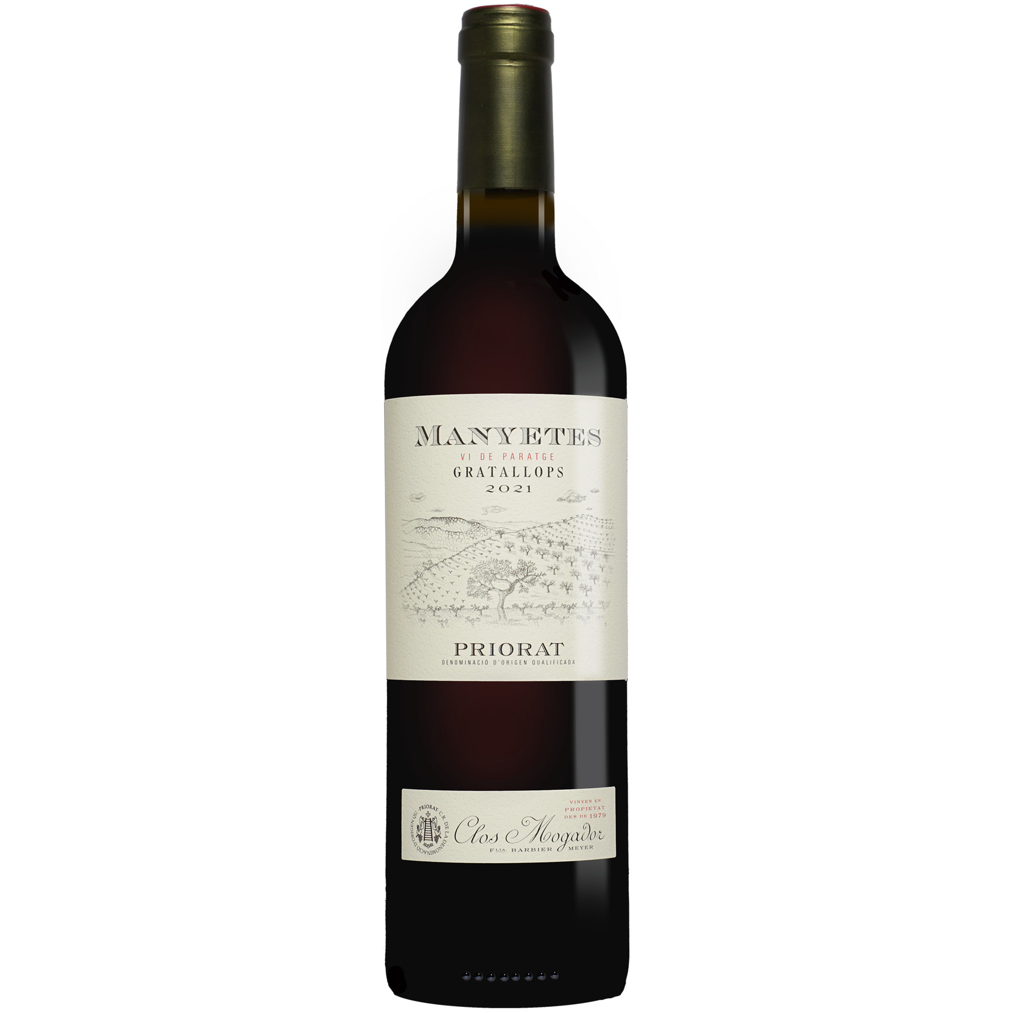 Image of Manyetes 2021 0.75L 13.5% Vol. Rotwein Trocken aus Spanien