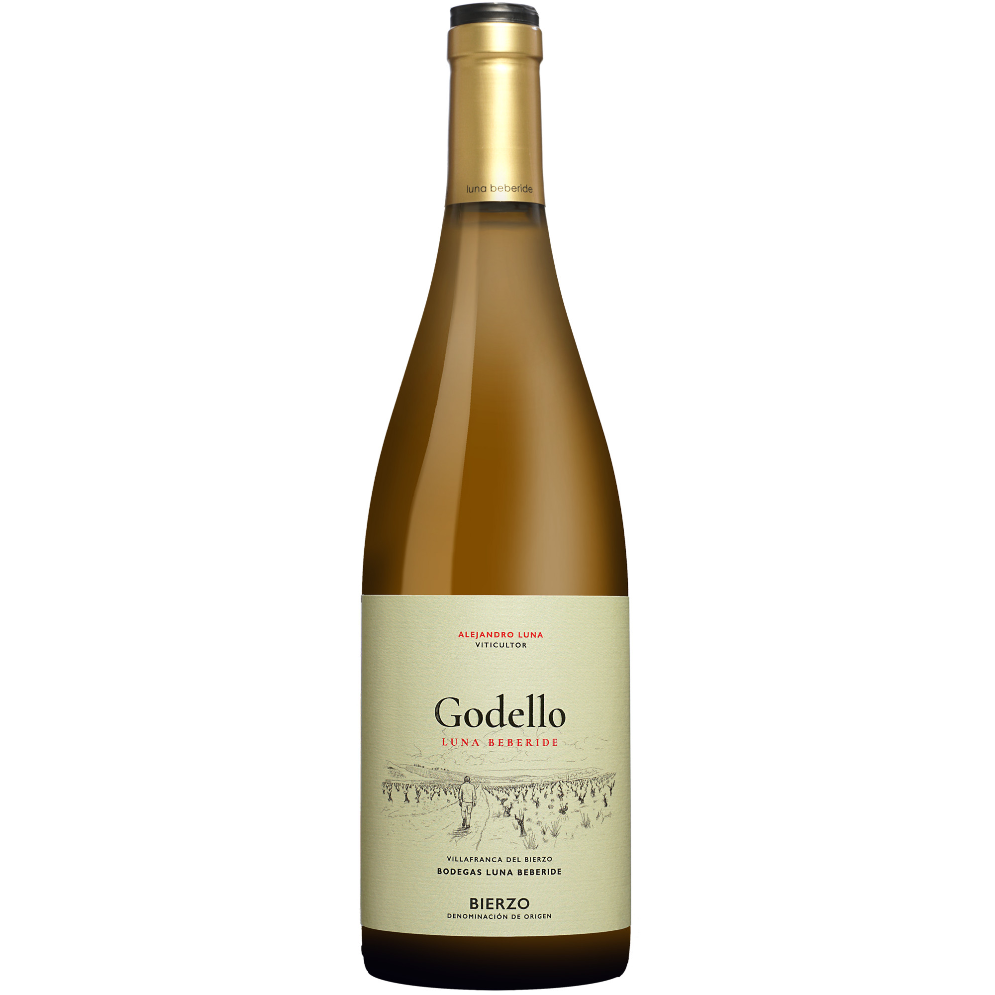 Image of Luna Beberide Godello 2024 0.75L 13% Vol. Weißwein Trocken aus Spanien