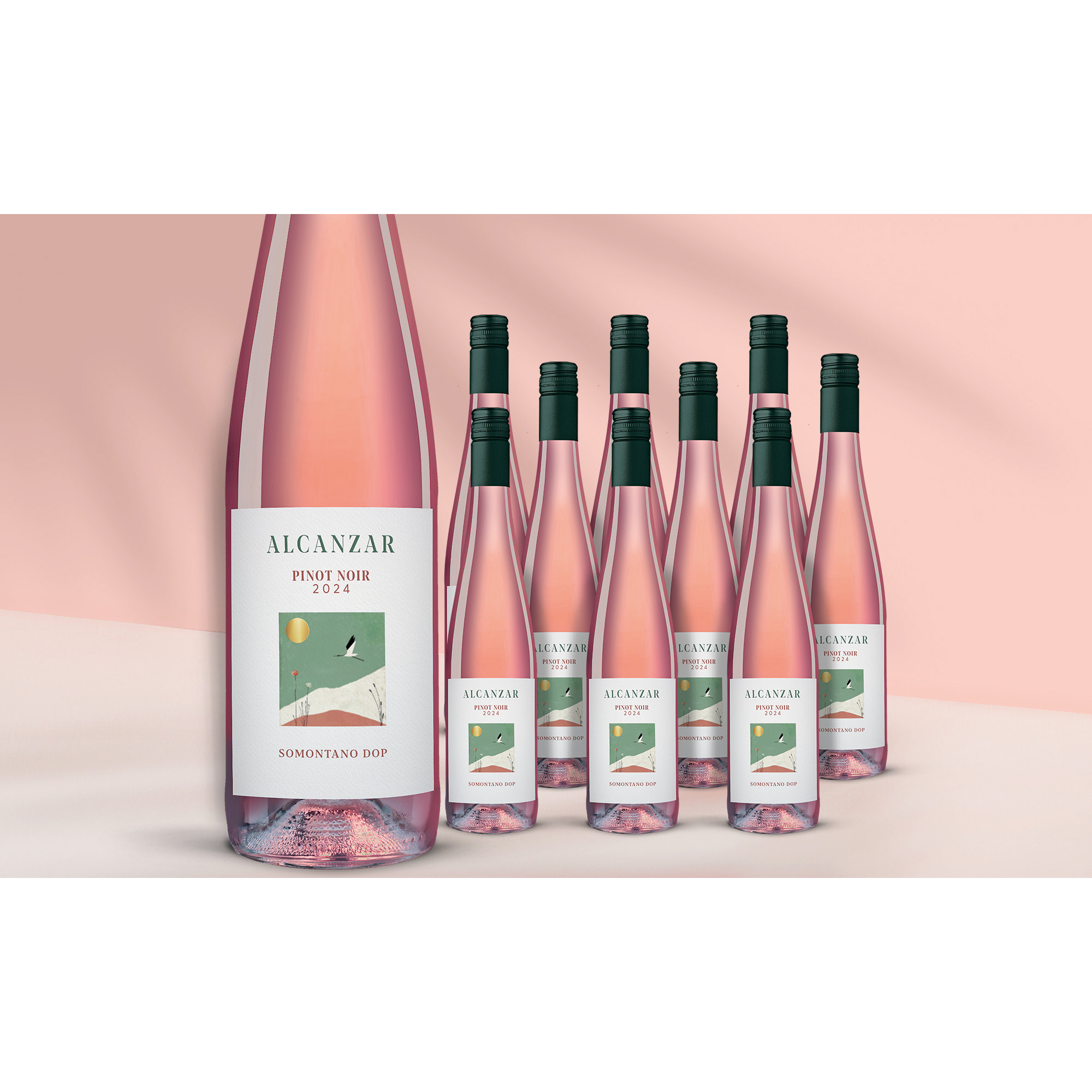 Alcanzar Pinot Noir Rosado 2024  711.5% Vol. Weinpaket aus Spanien