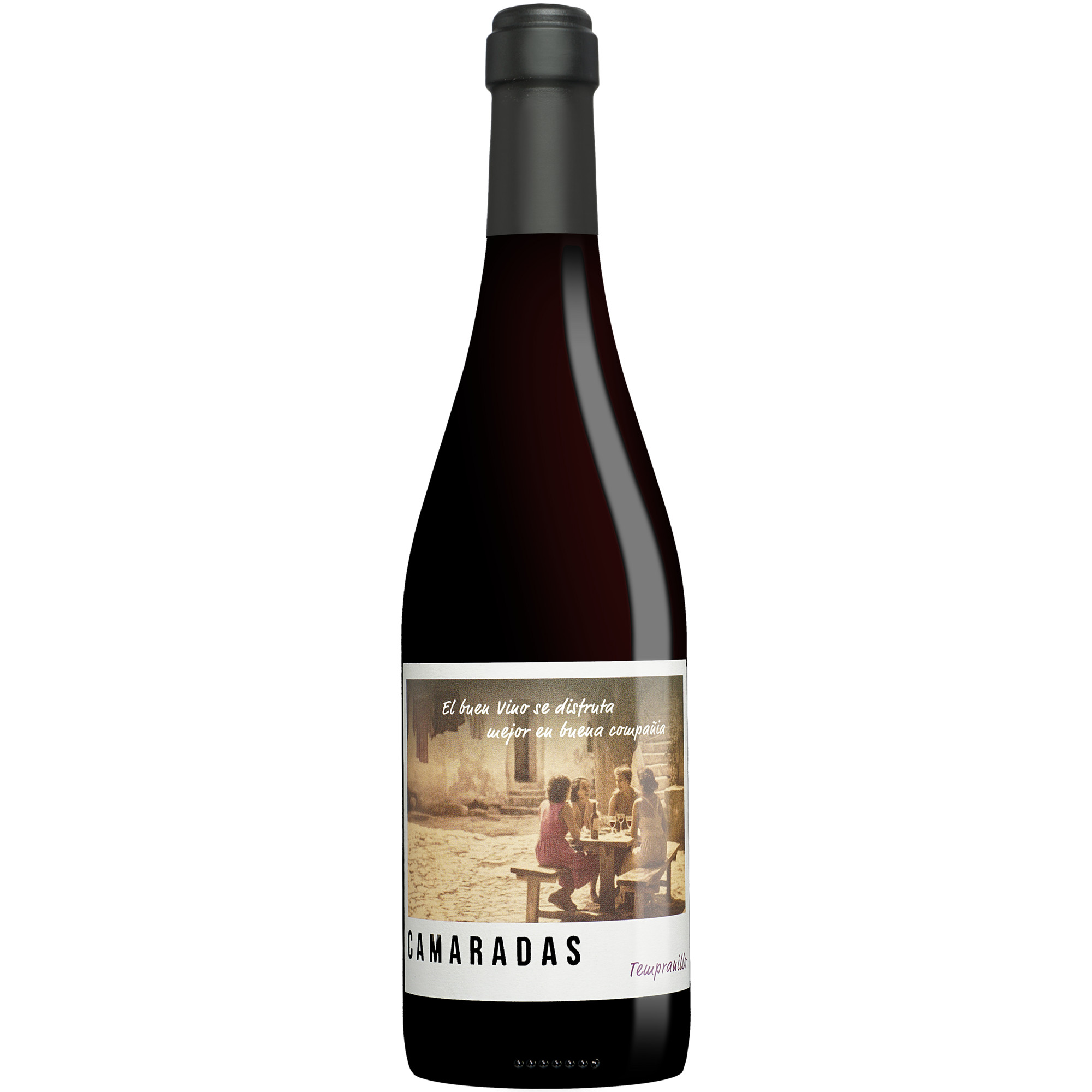 Camaradas Tempranillo 2024  013% Vol. Rotwein Trocken aus Spanien