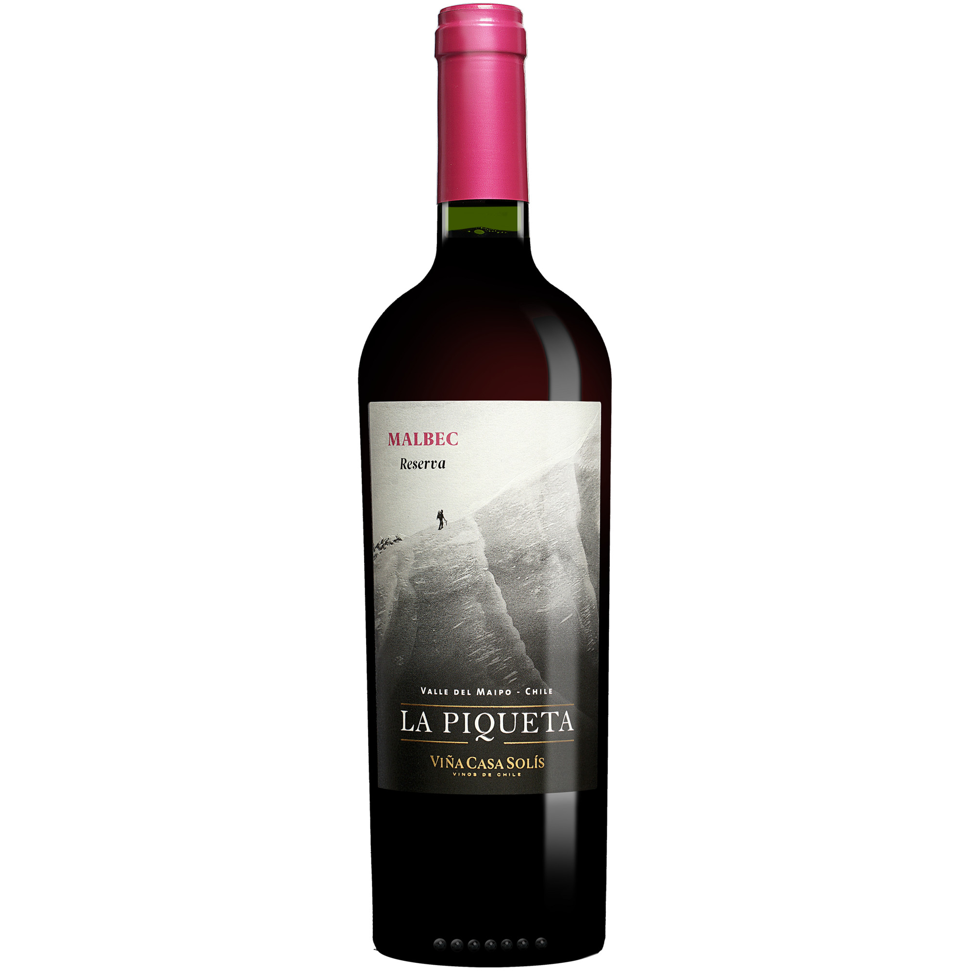 La Piqueta Malbec 2024  013% Vol. Rotwein Trocken aus Chile