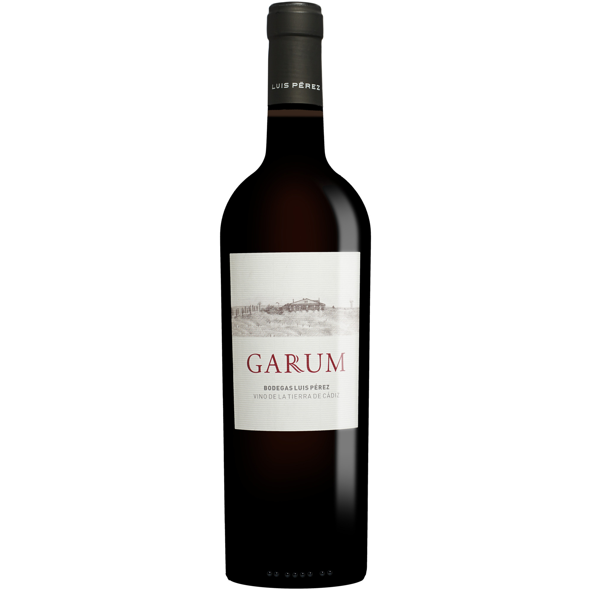 Image of Luis Pérez »Garum« 2023 0.75L 14.5% Vol. Rotwein Trocken aus Spanien