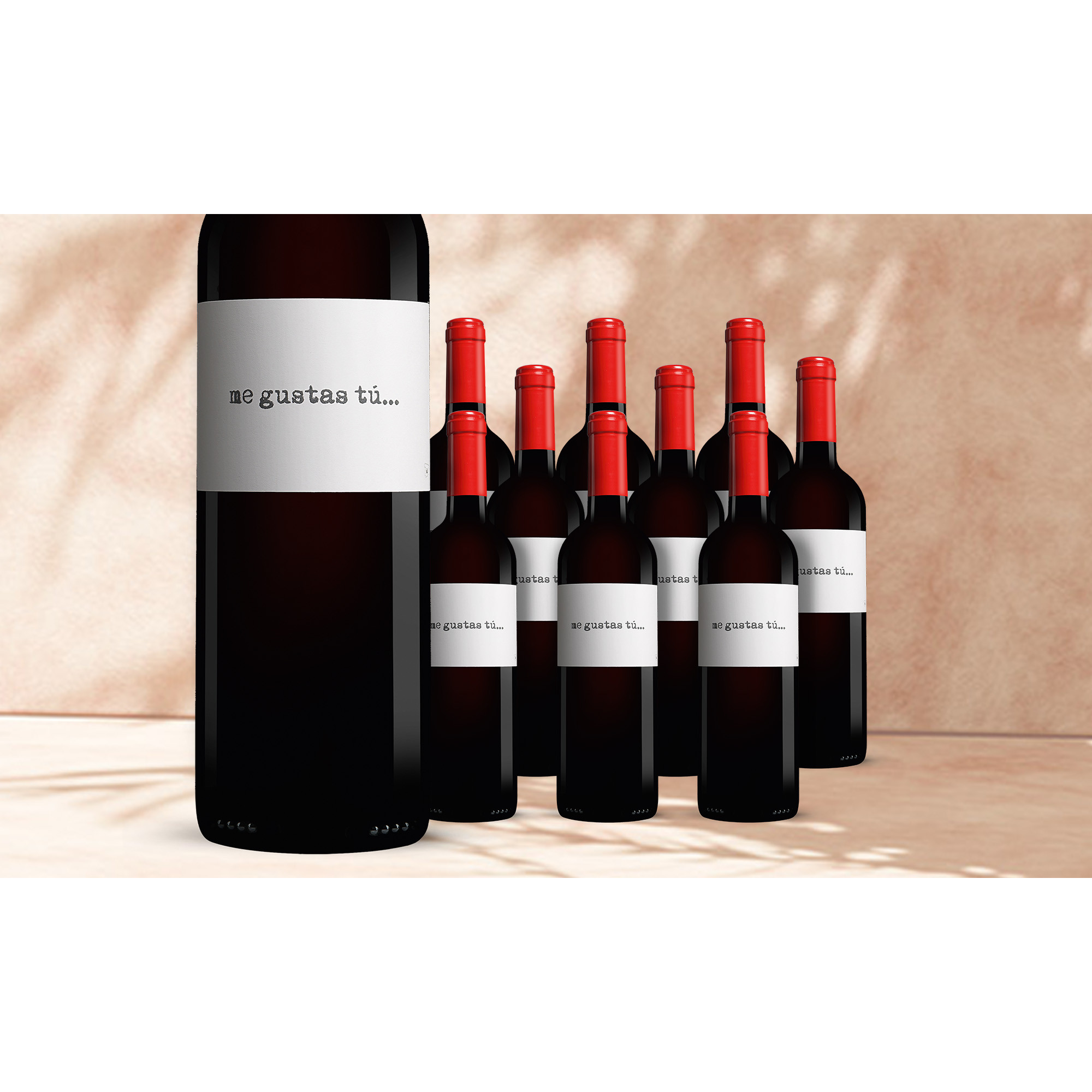 Me gustas tú 2023  713.5% Vol. Weinpaket aus Spanien