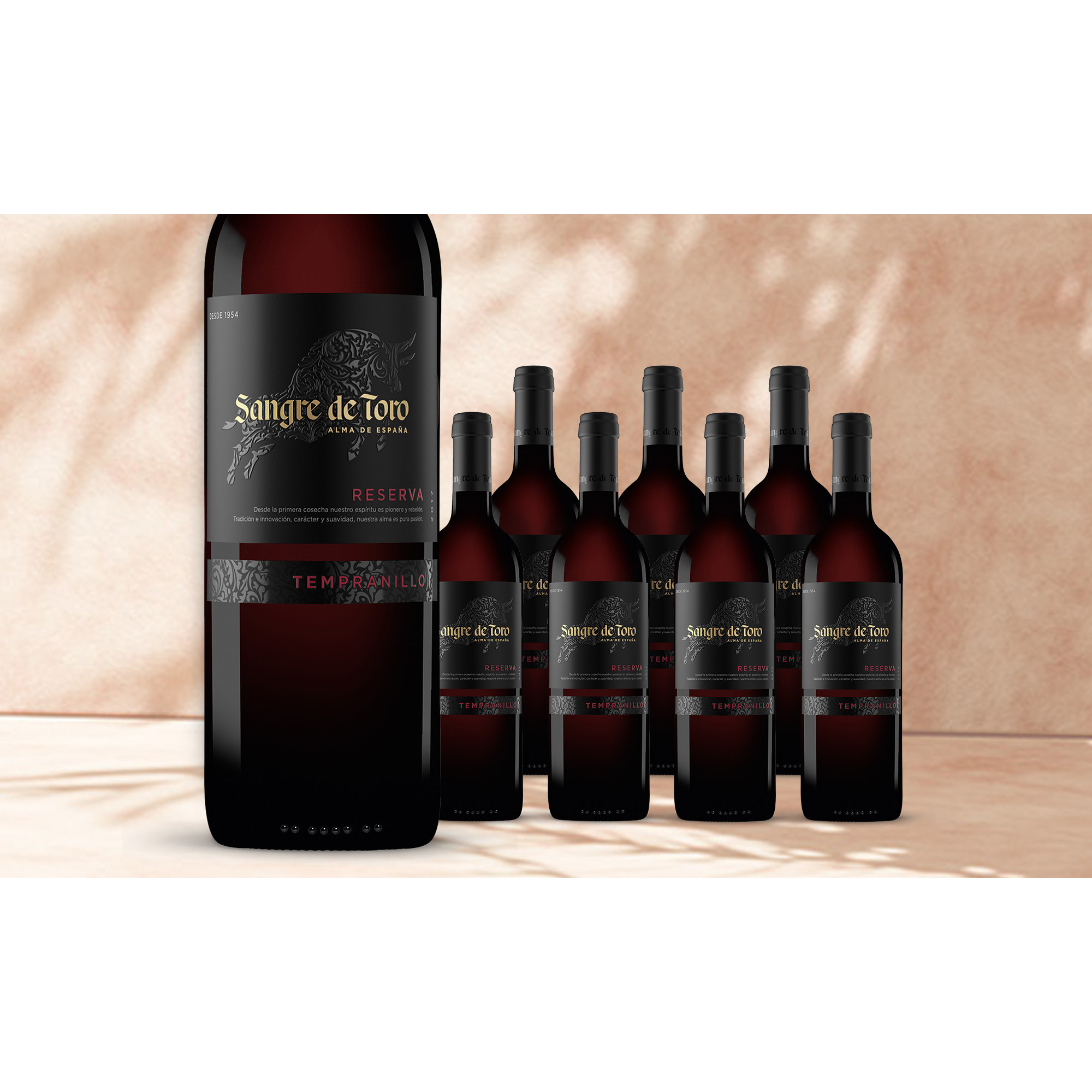Torres Sangre de Toro Reserva 2017 13.5% Vol. Weinpaket aus Spanien