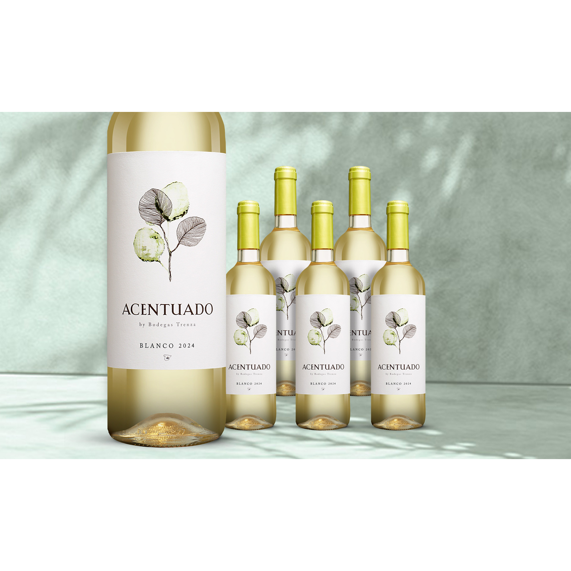 Acentuado Blanco 2024  412% Vol. Weinpaket aus Spanien