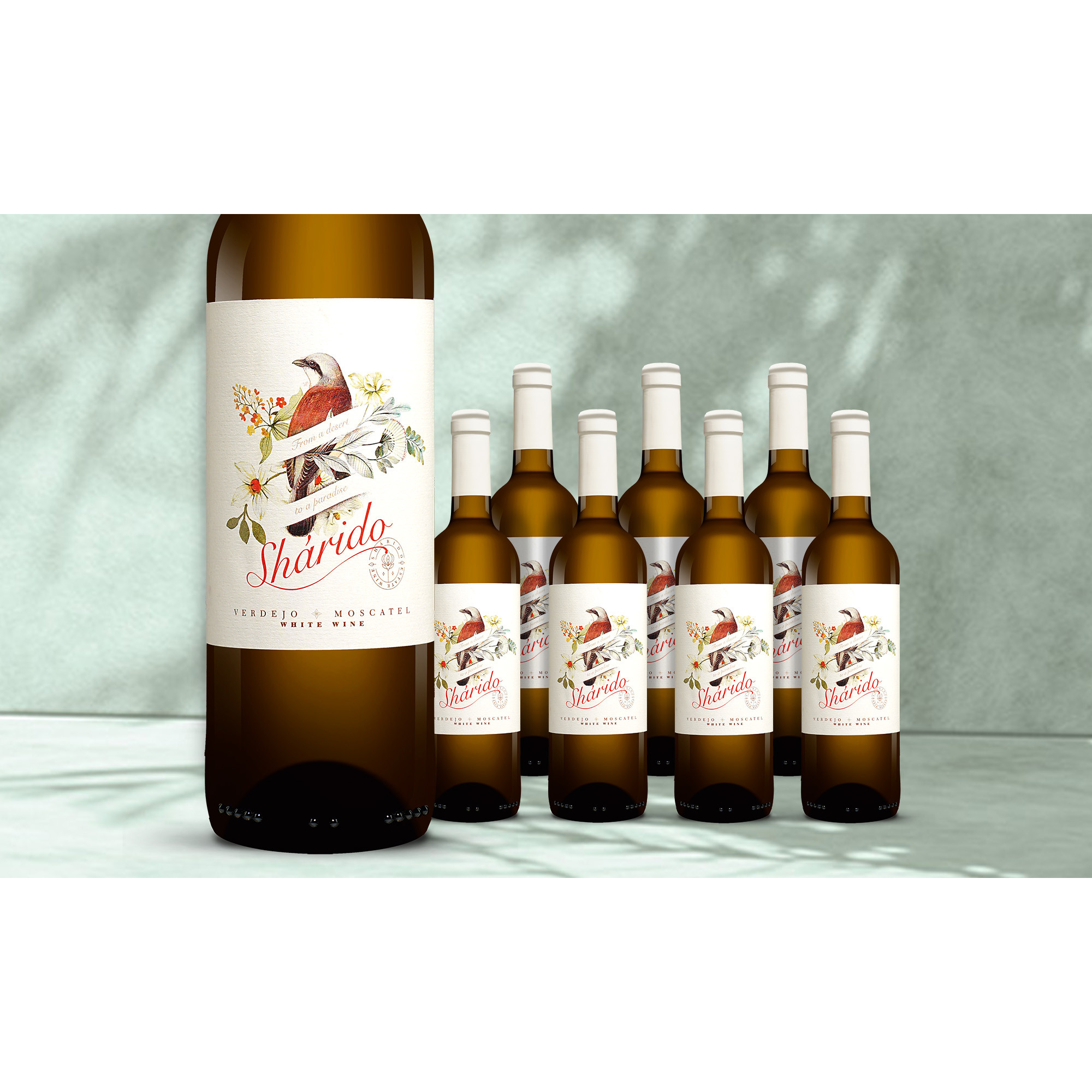 Shárido Verdejo-Moscatel 2024 13% Vol. Weinpaket aus Spanien