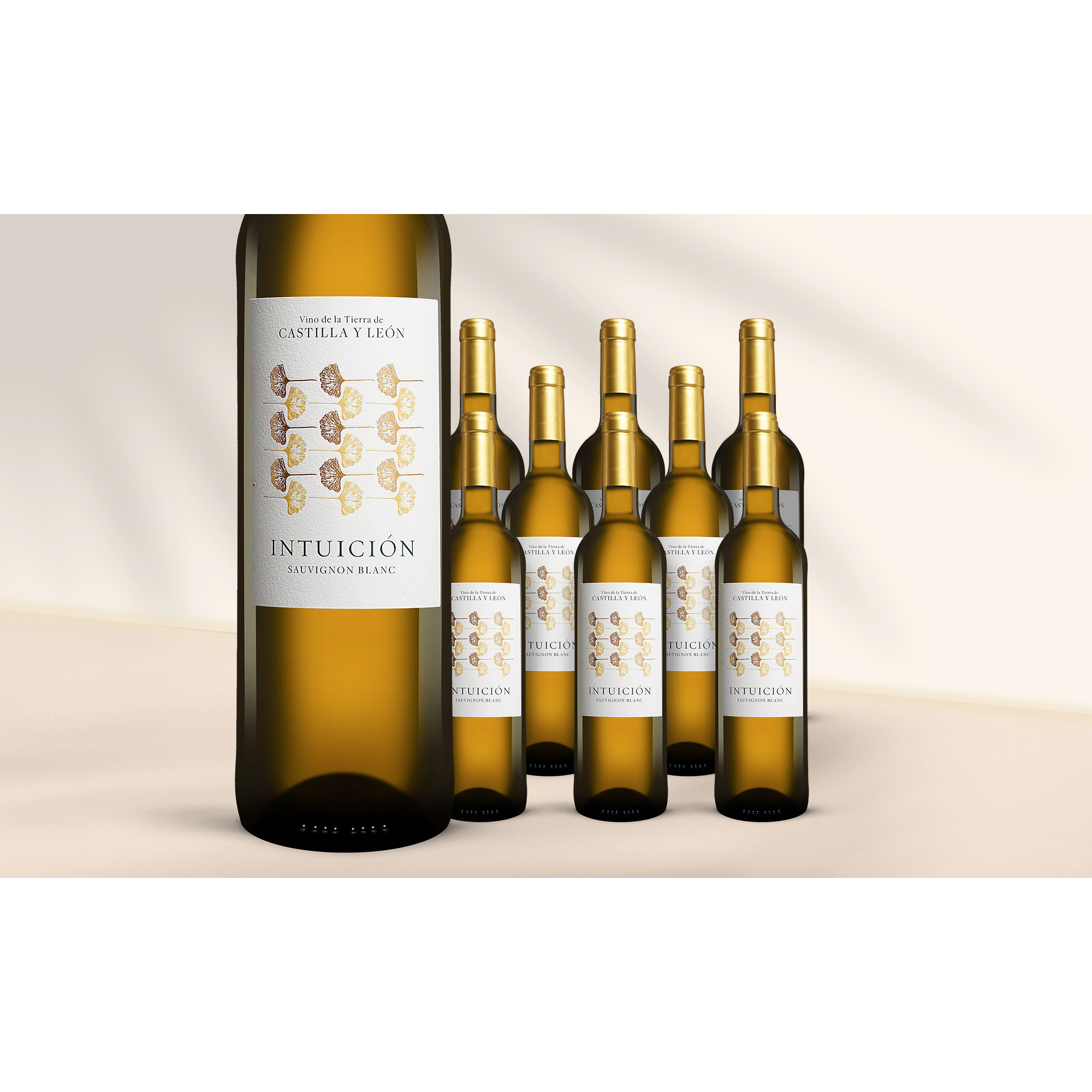 Image of Intuición Sauvignon Blanc 2024 6.75L 13% Vol. Weinpaket aus Spanien
