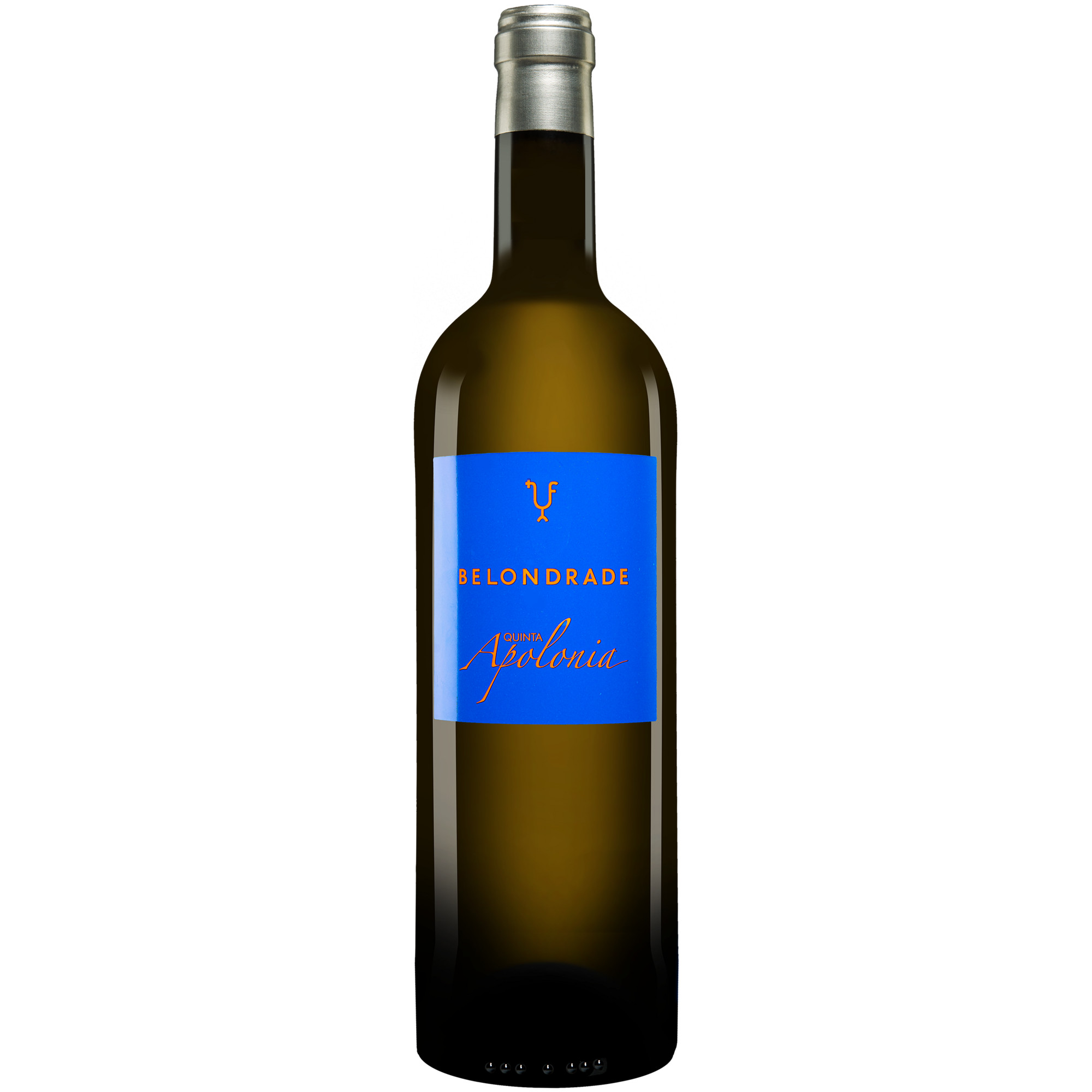 Quinta Apolonia Belondrade 2024  013.5% Vol. Weißwein Trocken aus Spanien