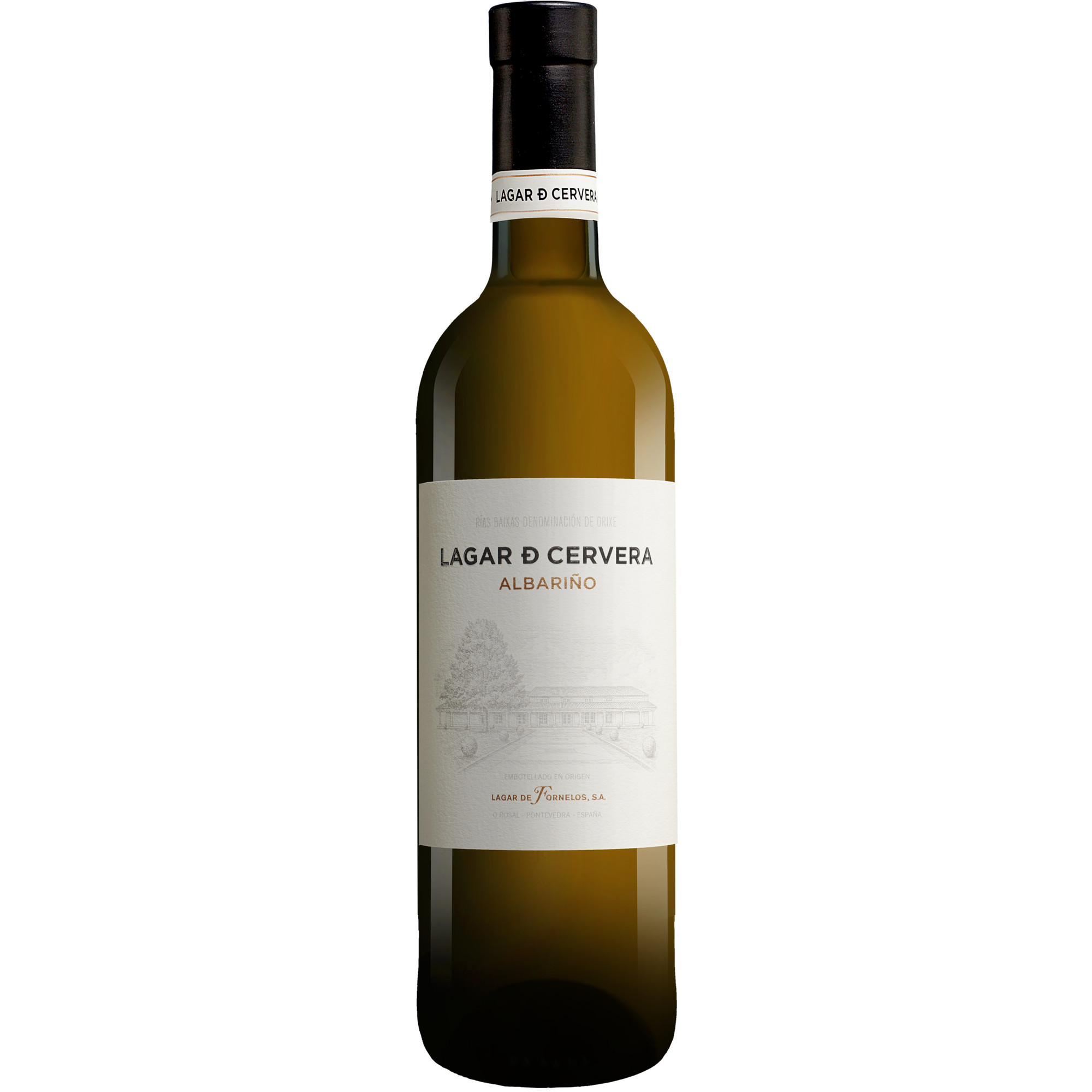Lagar de Cervera Albariño 2024  013% Vol. Weißwein Trocken aus Spanien